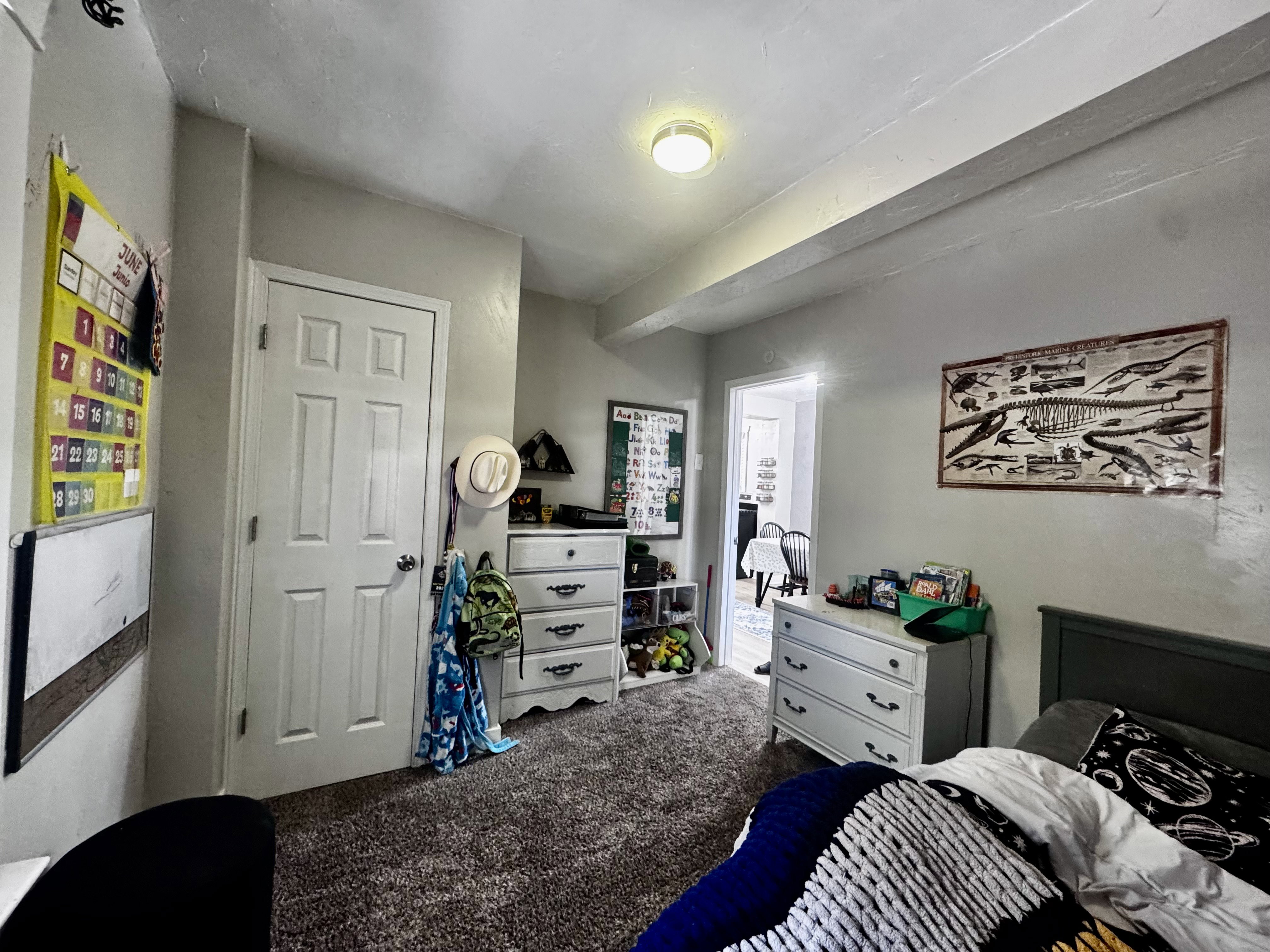 Carpeted bedroom2 with a ceiling light fixture, white interior door