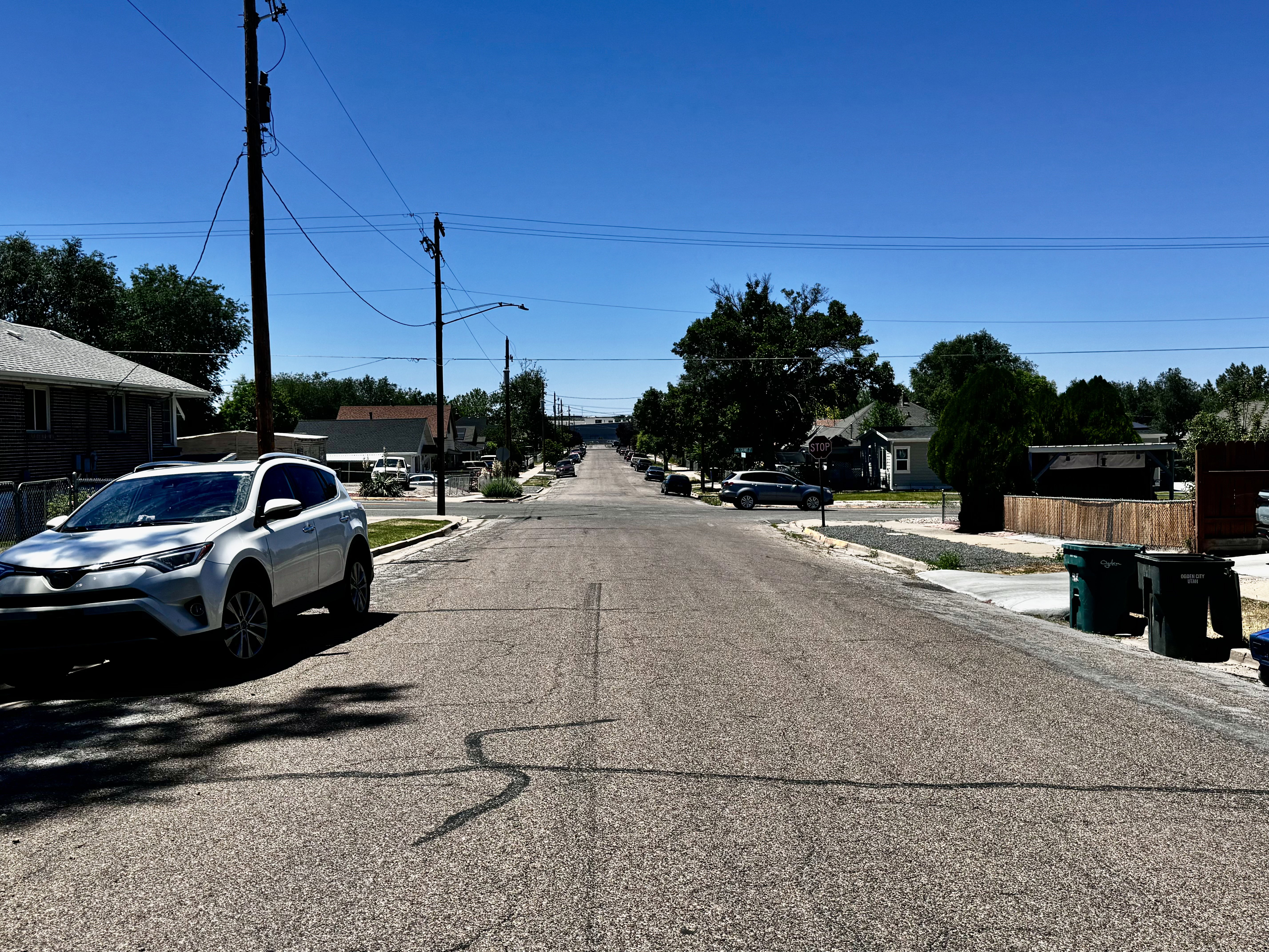 Residential streetscape with established homes and mature trees