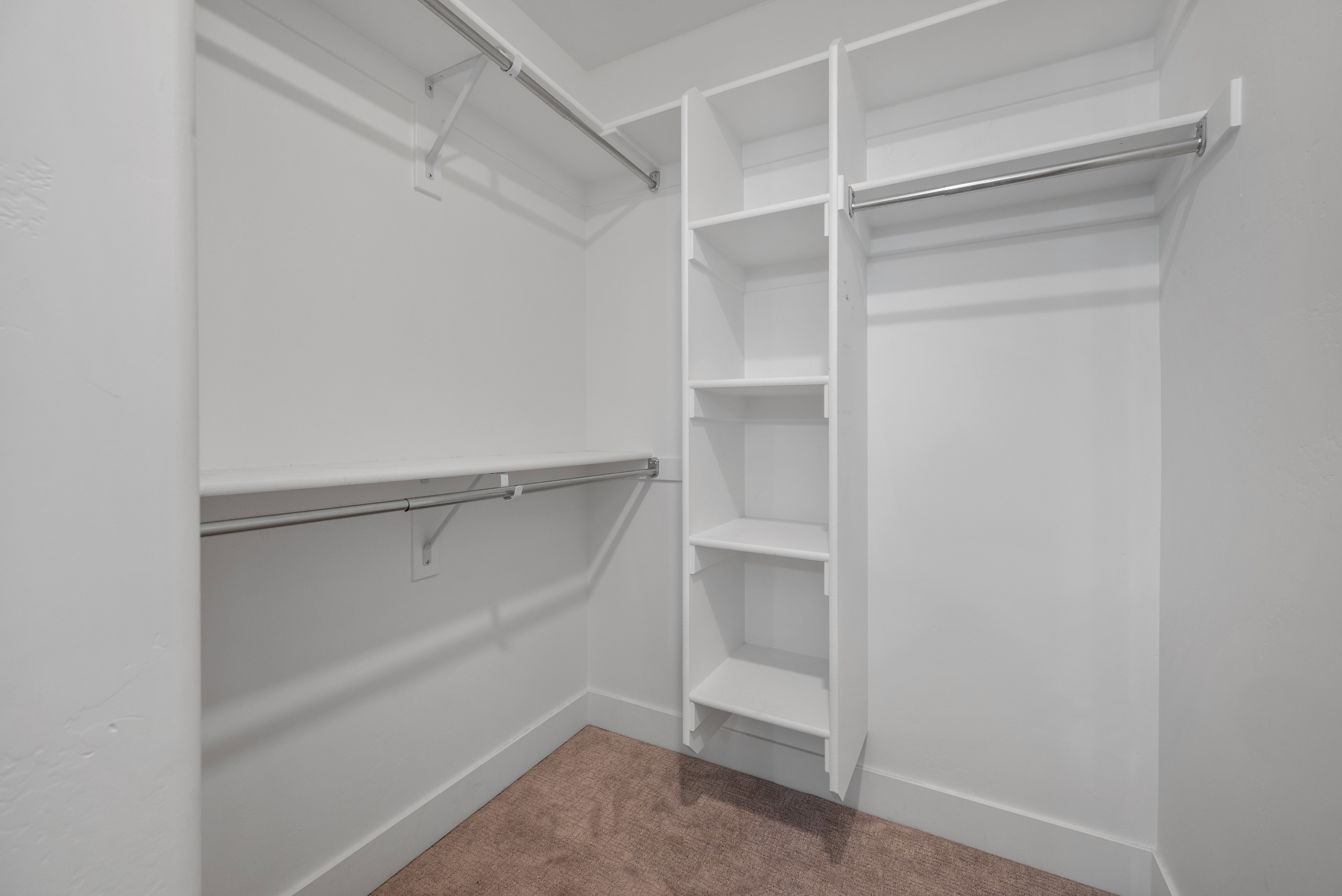 Walk-in closet featuring built-in shelving, two levels of hanging rods, and plush carpeting