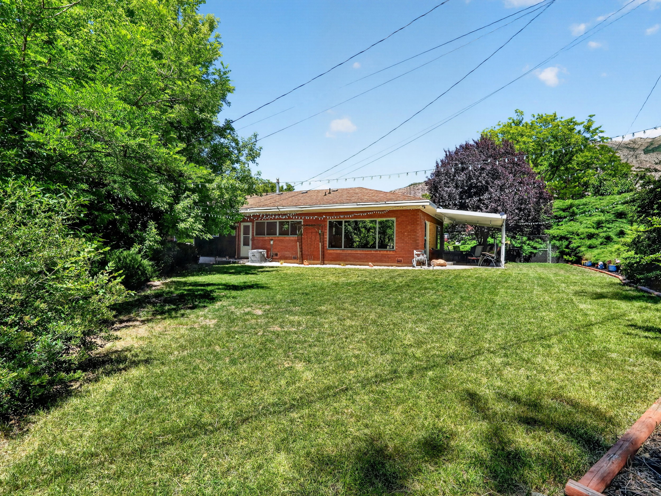 Expansive lawn with mature perimeter trees and shrubs