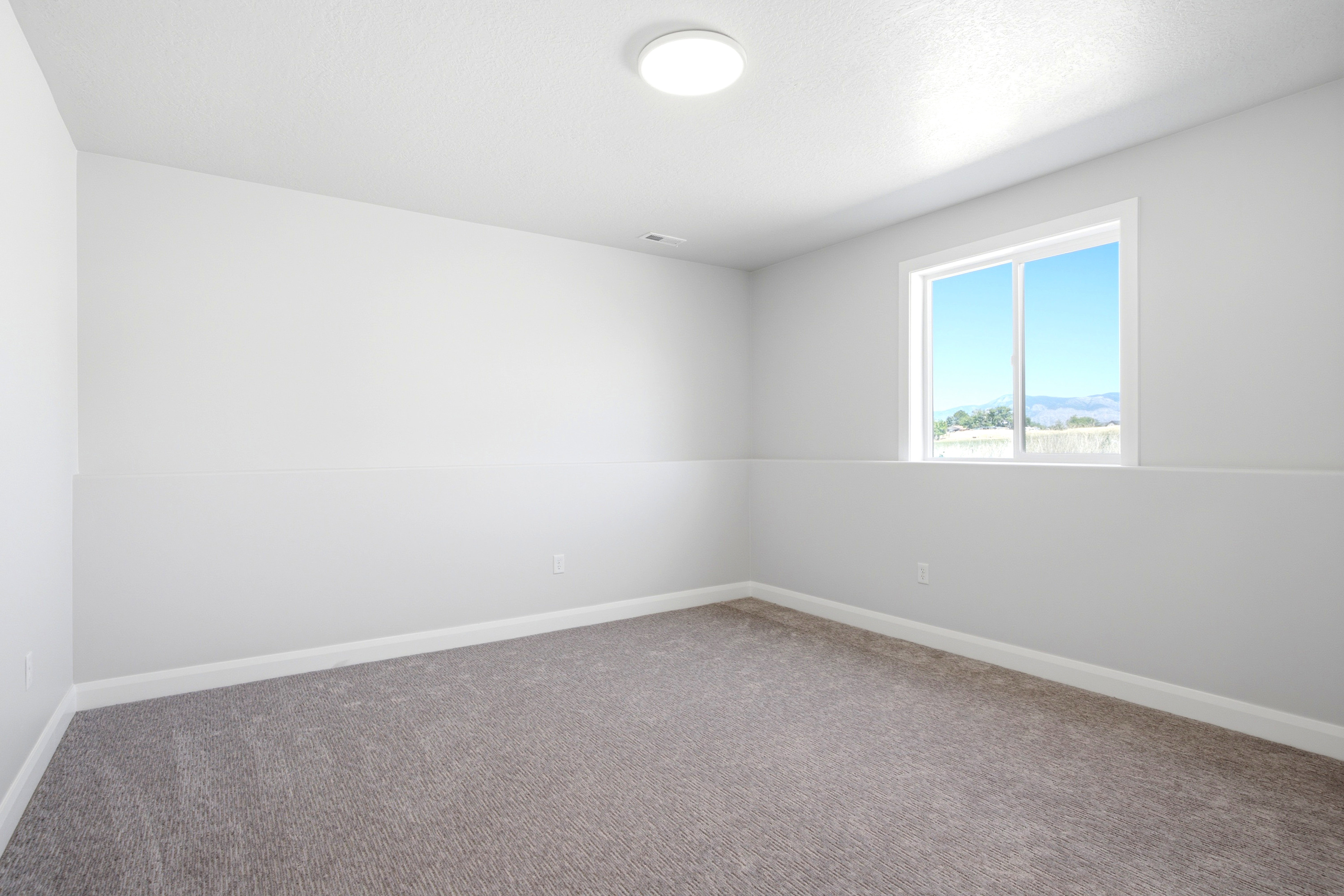 Room with light grey carpeting, white walls, and a single window