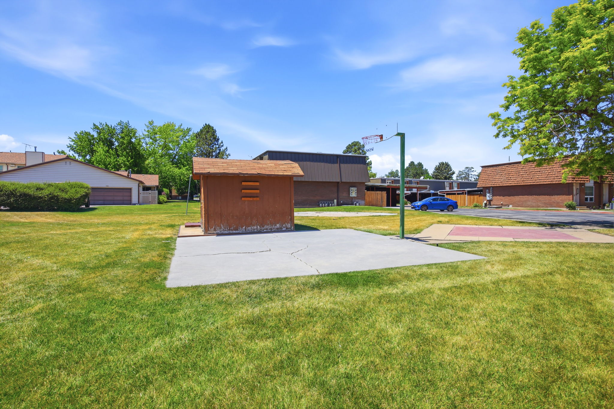 Expansive lawn featuring a concrete pad with a basketball hoop and a wooden storage shed