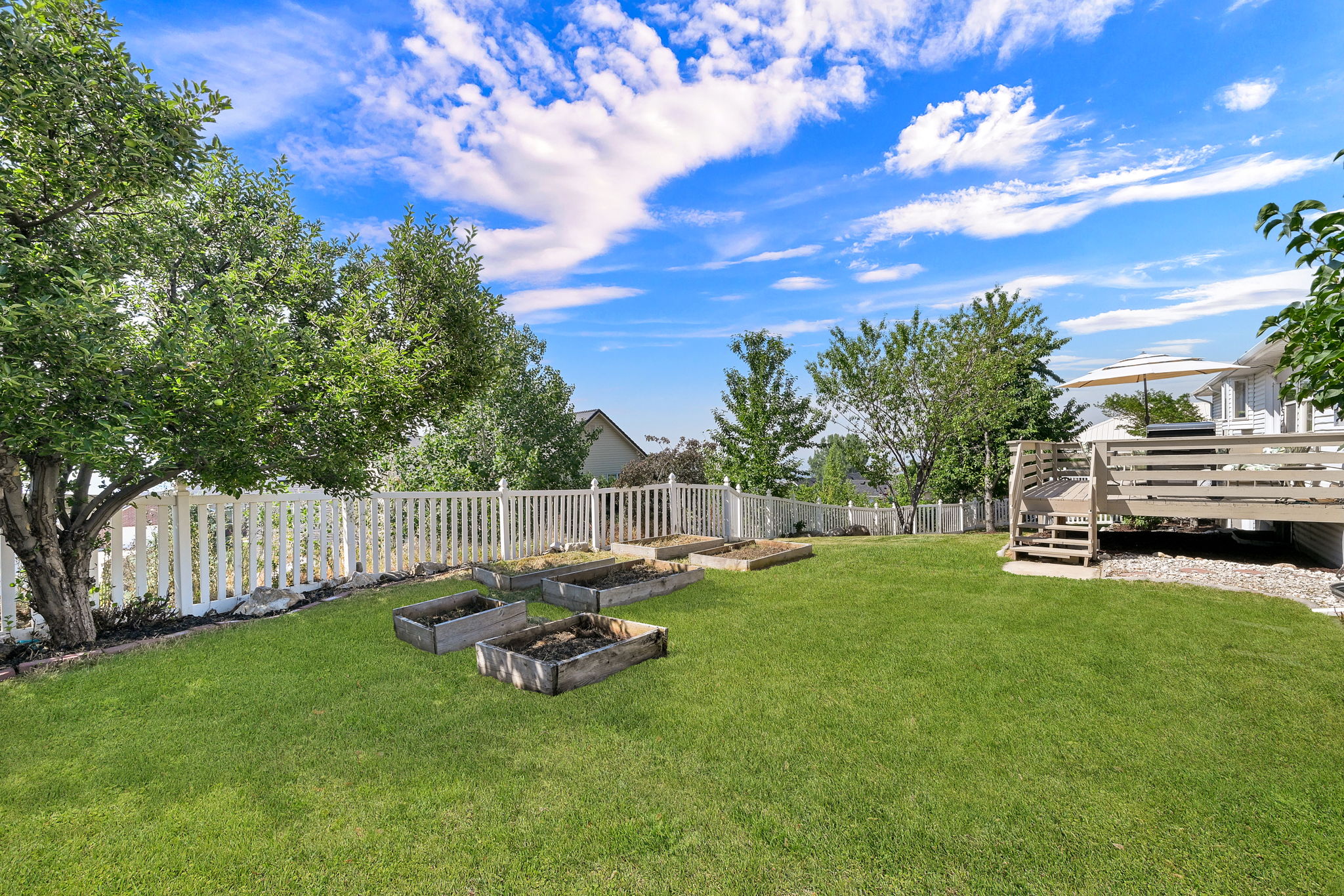 Expansive backyard featuring a manicured lawn, established trees, white picket fencing, multiple raised garden beds, and a multi-level wood deck with stairs