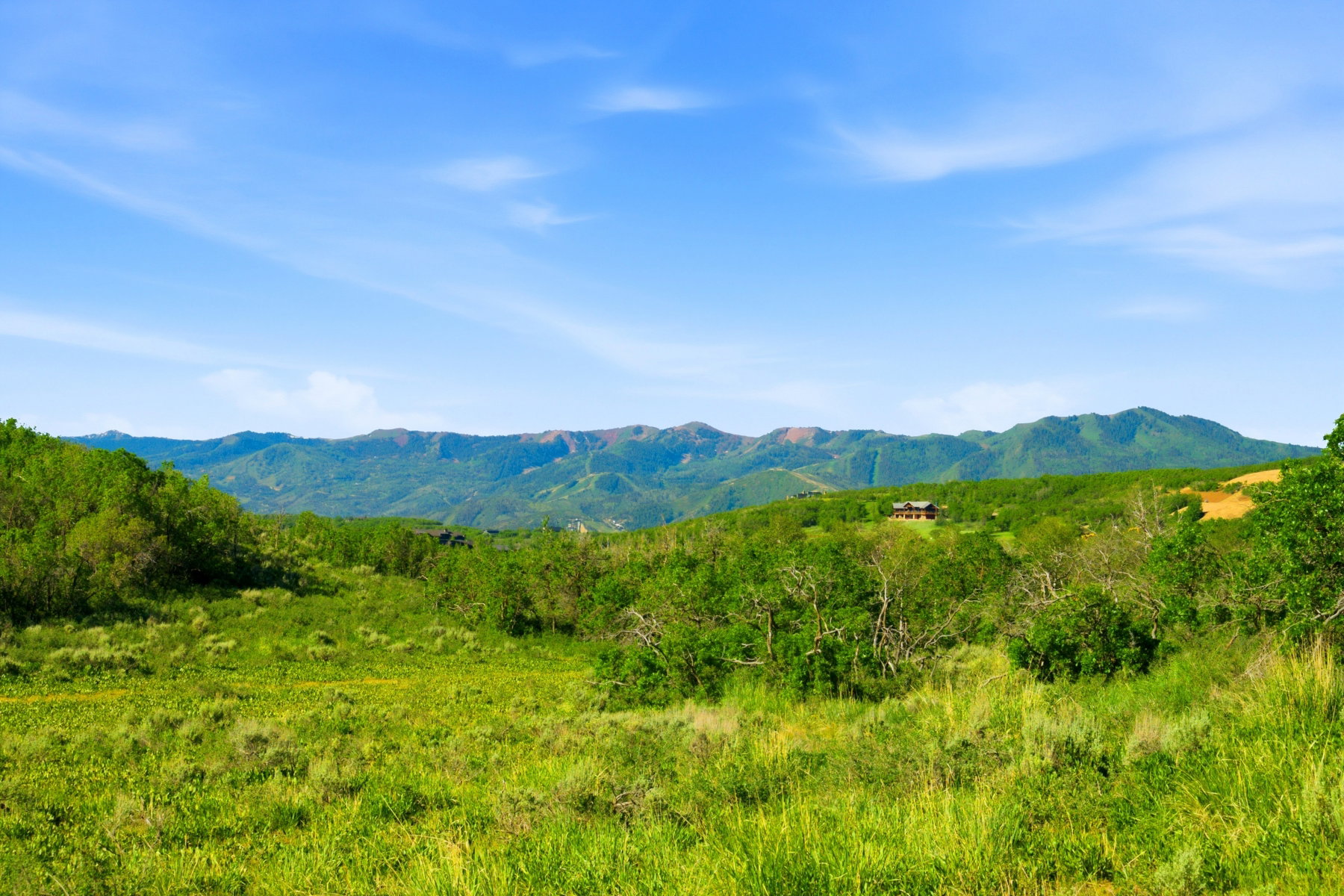 Mountain view