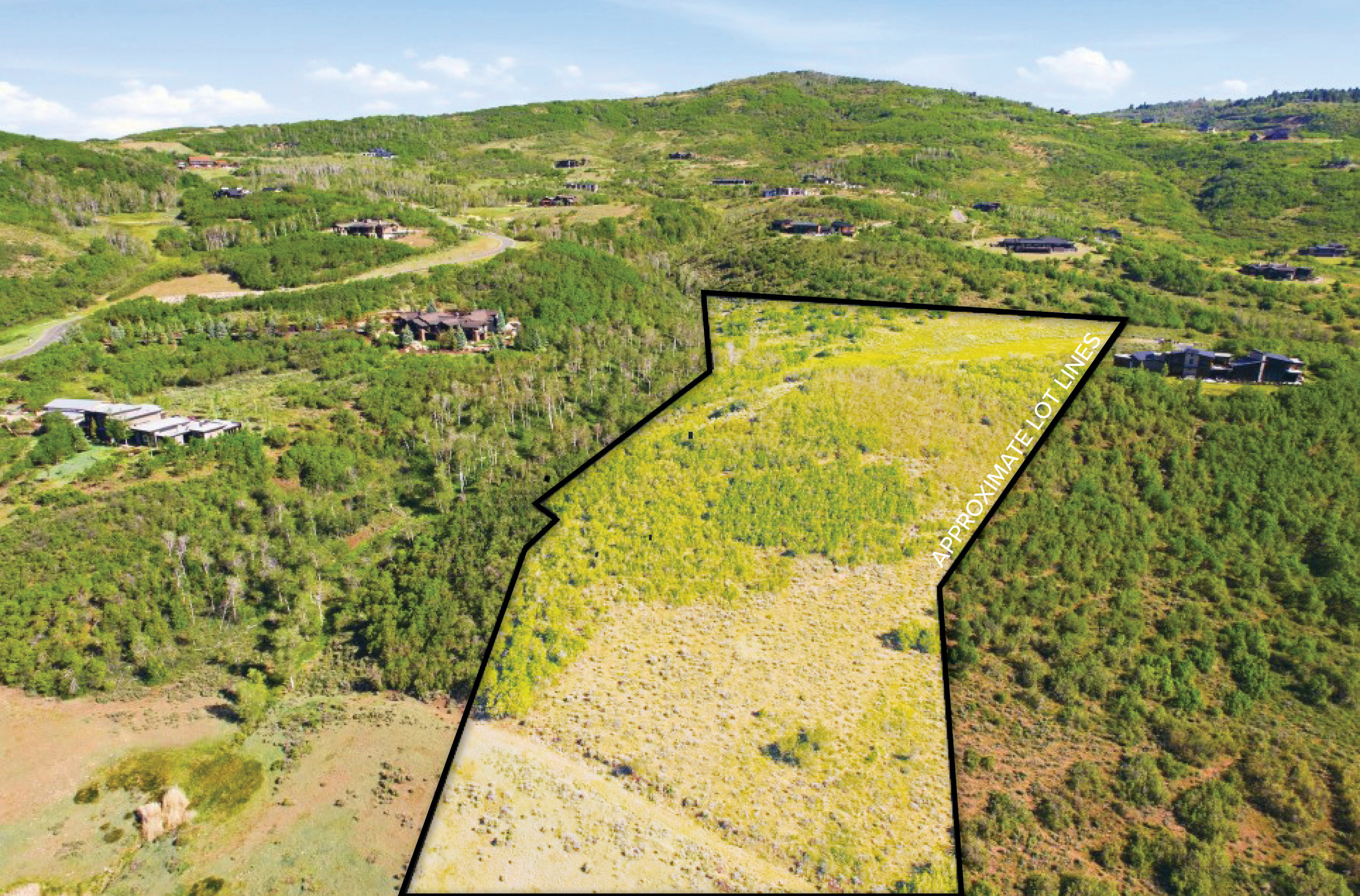 Expansive undeveloped lot featuring varied topography and natural vegetation