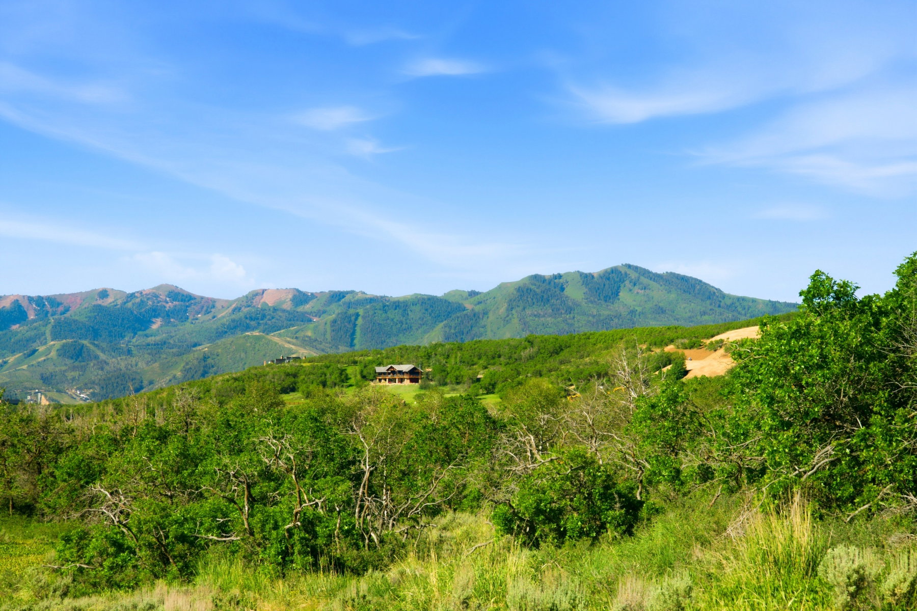 Mountain view