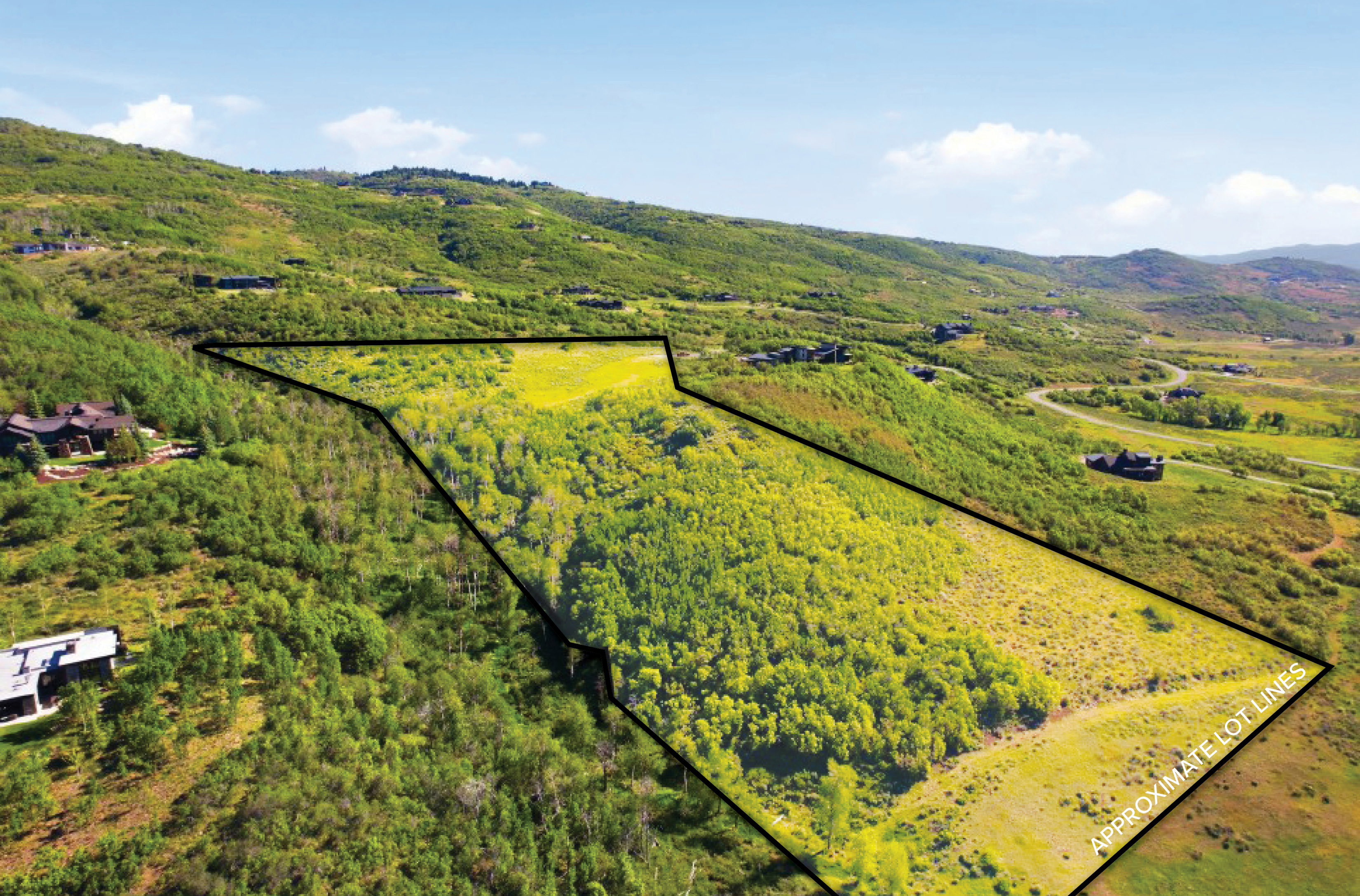 Expansive hillside lot featuring a mix of mature trees and open grassy areas