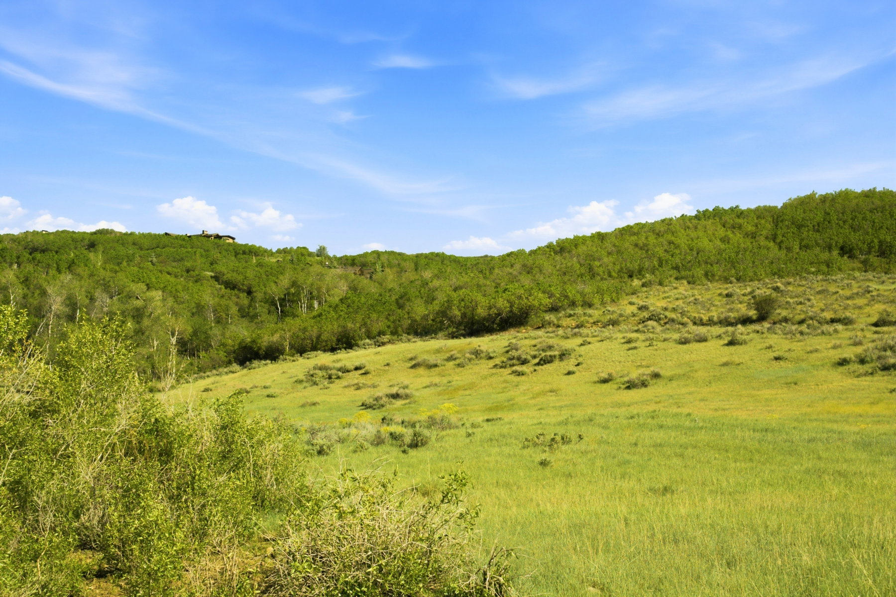 Expansive green terrain featuring rolling hills and abundant foliage