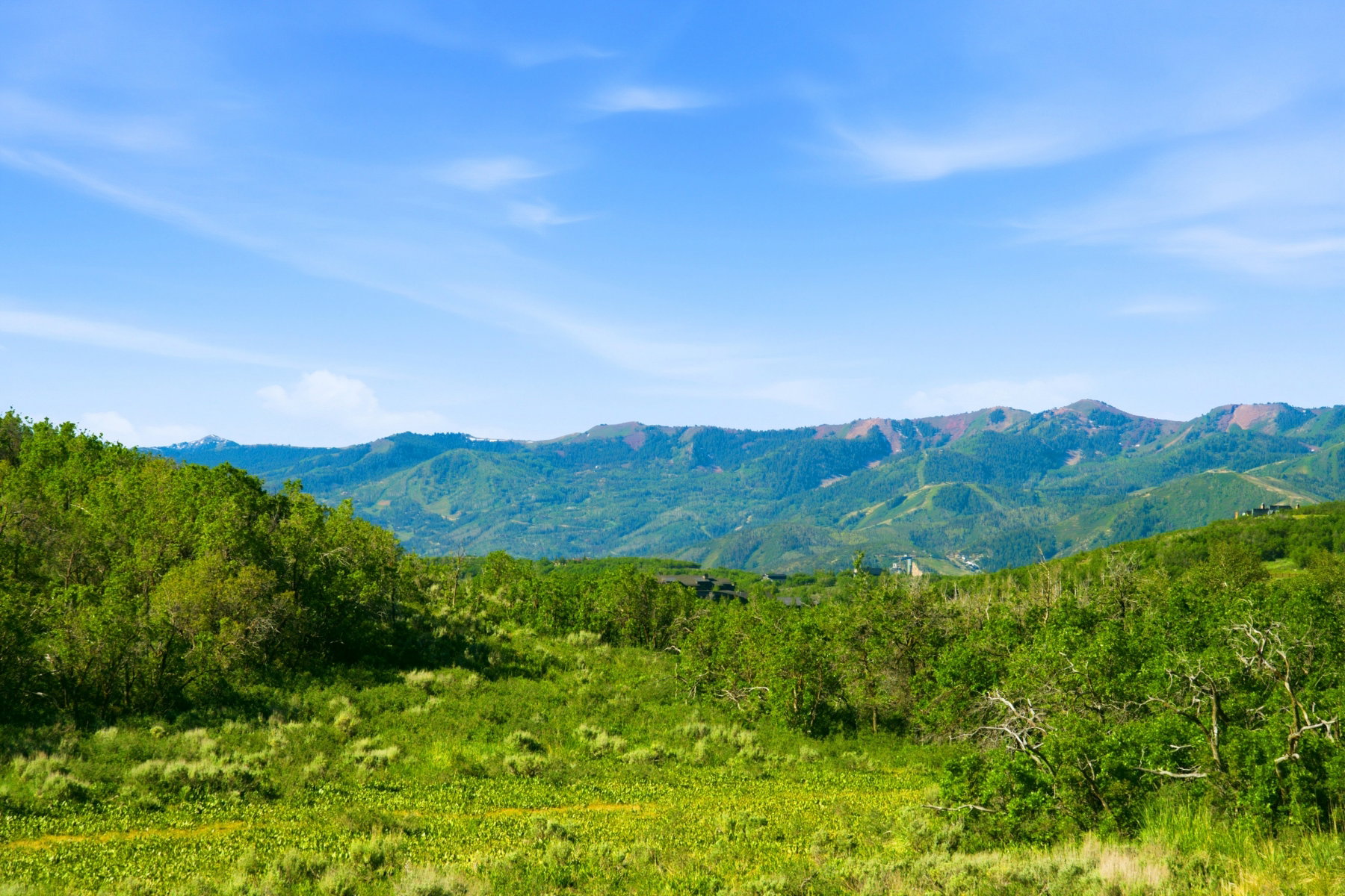 Mountain view