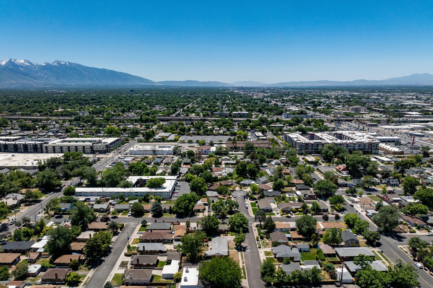Expansive aerial perspective showcasing a mature tree-lined neighborhood