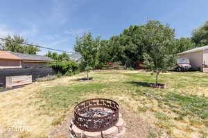 Expansive backyard featuring a central fire pit with an animal-motif design