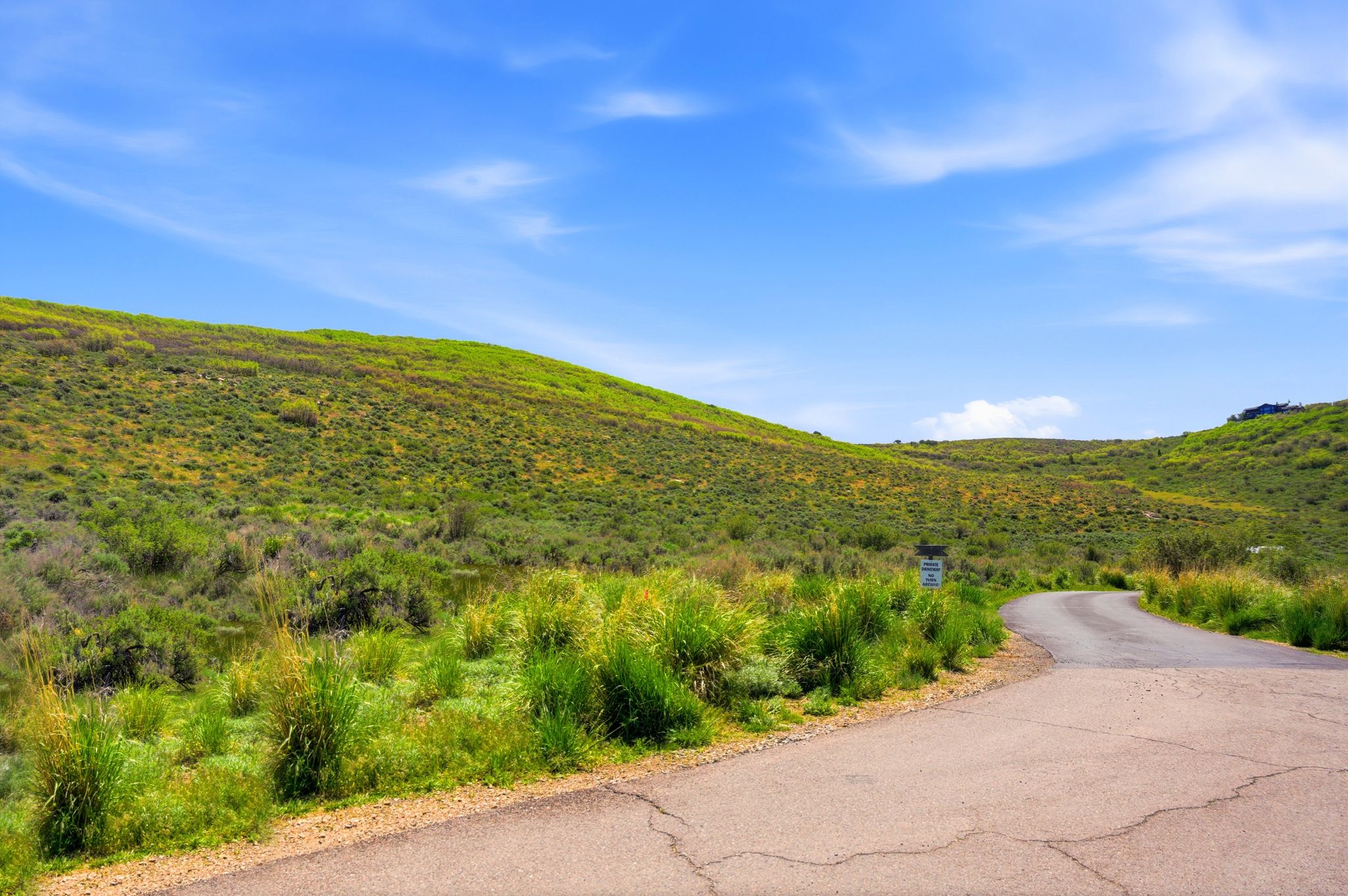 Paved road winding through expansive, rolling hills with varied green foliage