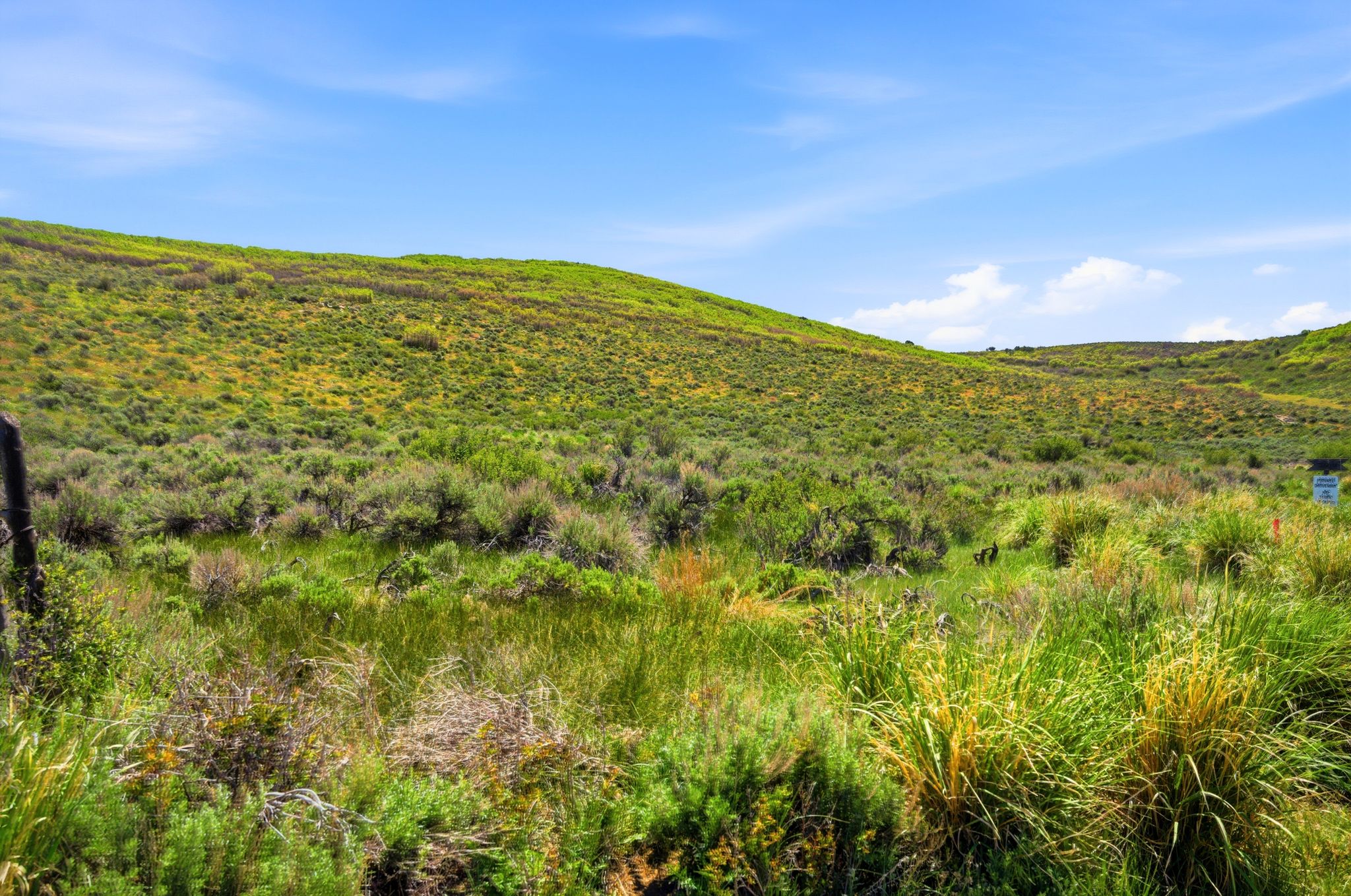 Expansive undeveloped land featuring rolling hills and varied natural vegetation under a bright sky