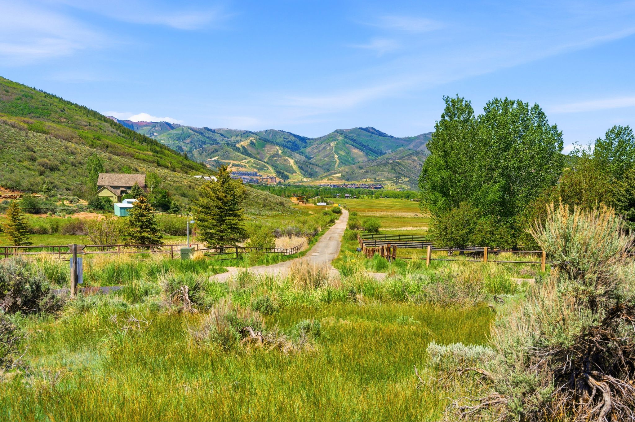 Expansive green landscape featuring a gravel road, mature trees, and mountainous terrain in the background