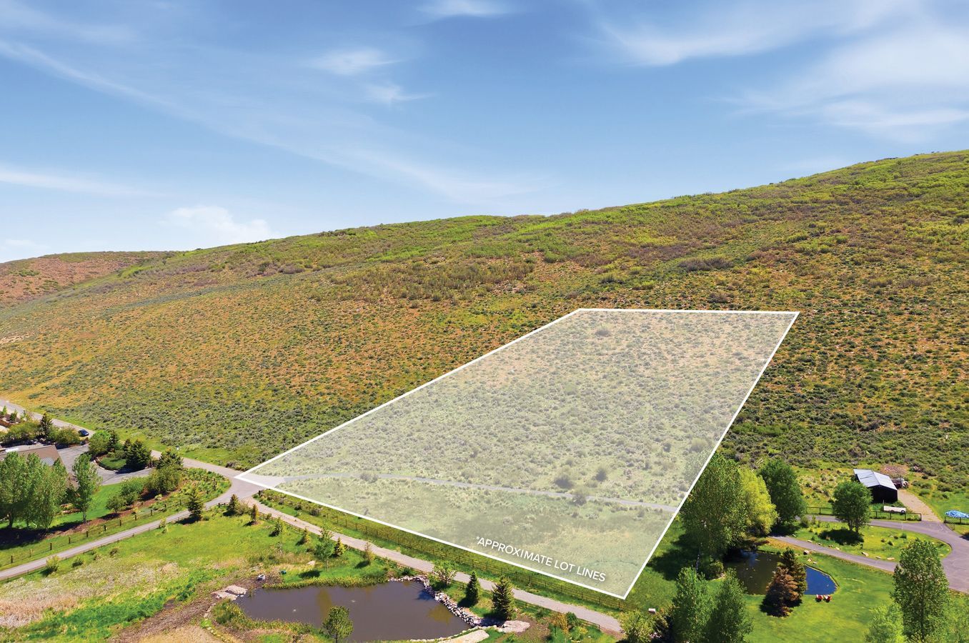 Expansive undeveloped lot featuring natural vegetation, bordered by a paved road, with a pond and mature trees in the foreground