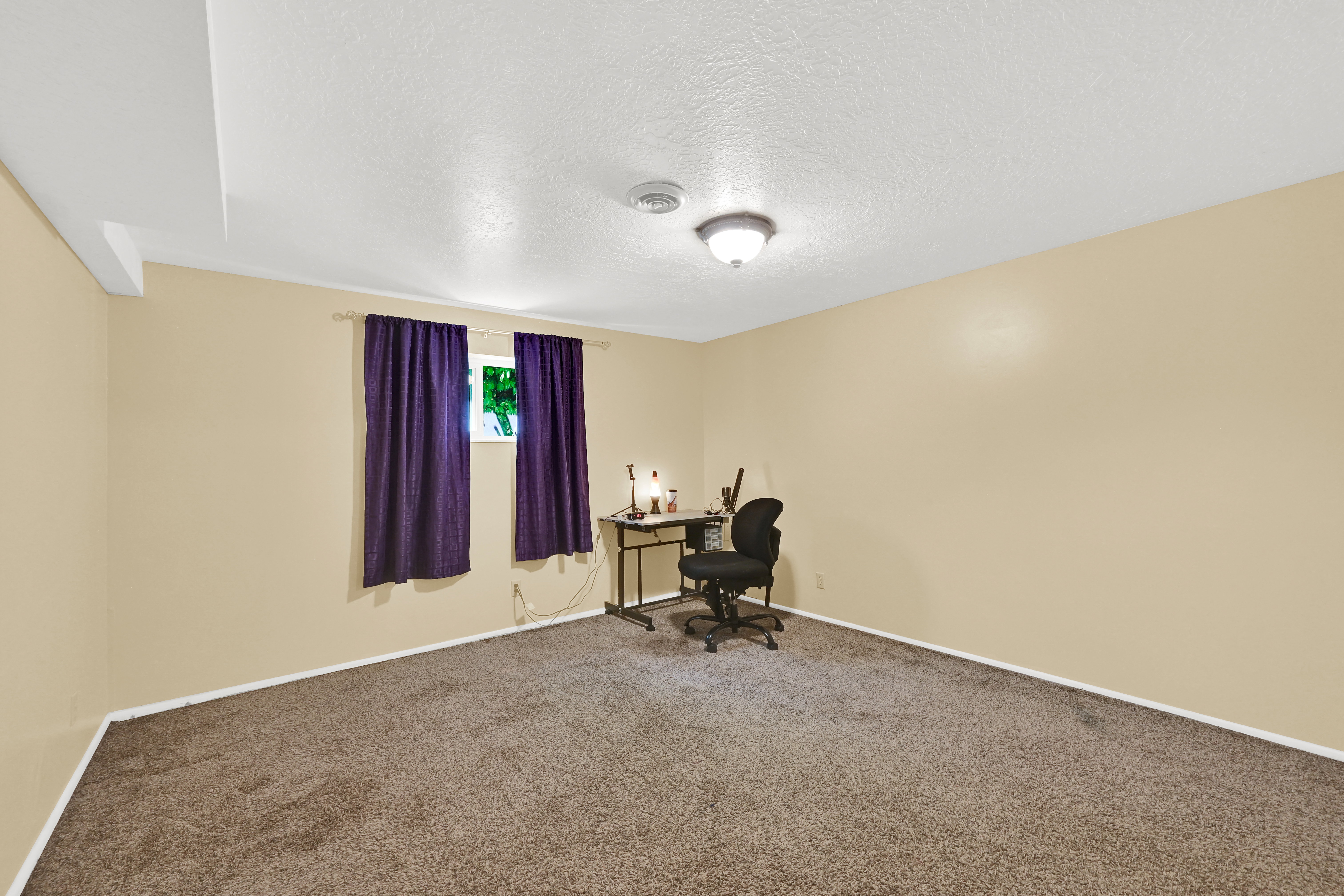 Room with neutral-toned walls and plush carpet flooring