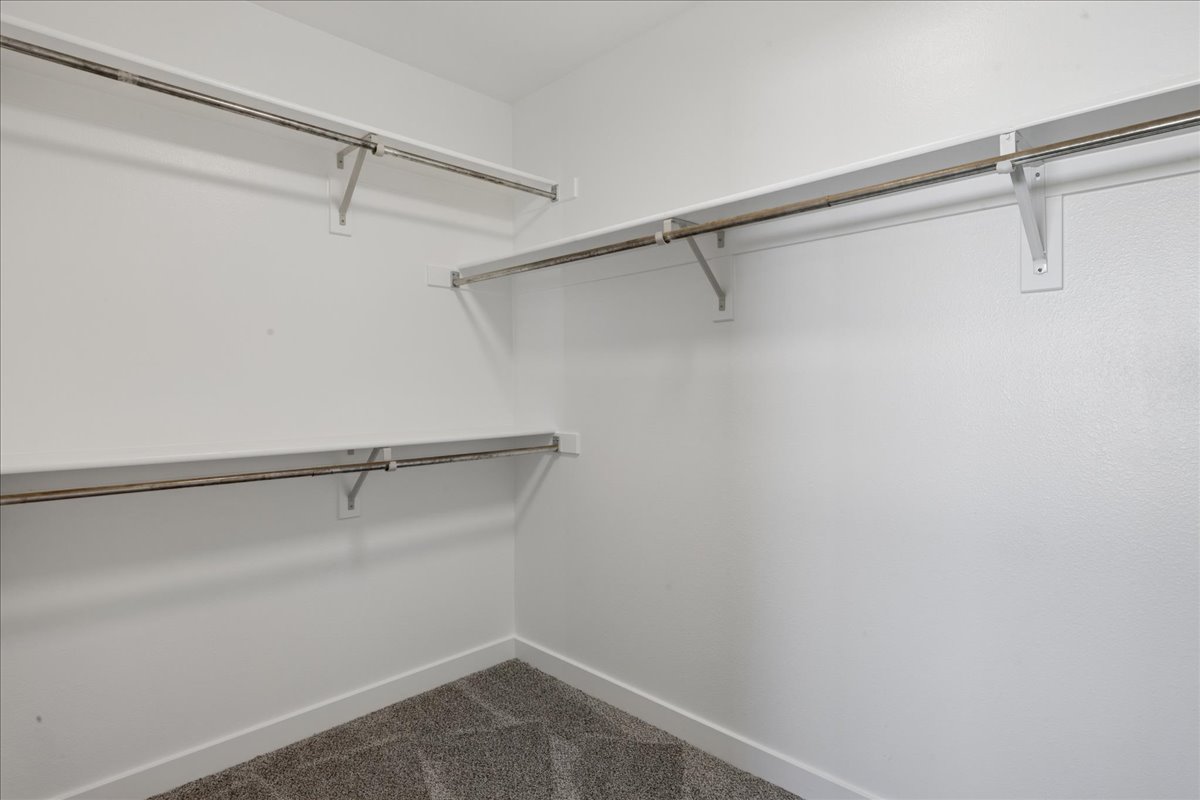 Walk-in closet with white painted walls, white trim, and gray patterned carpeting