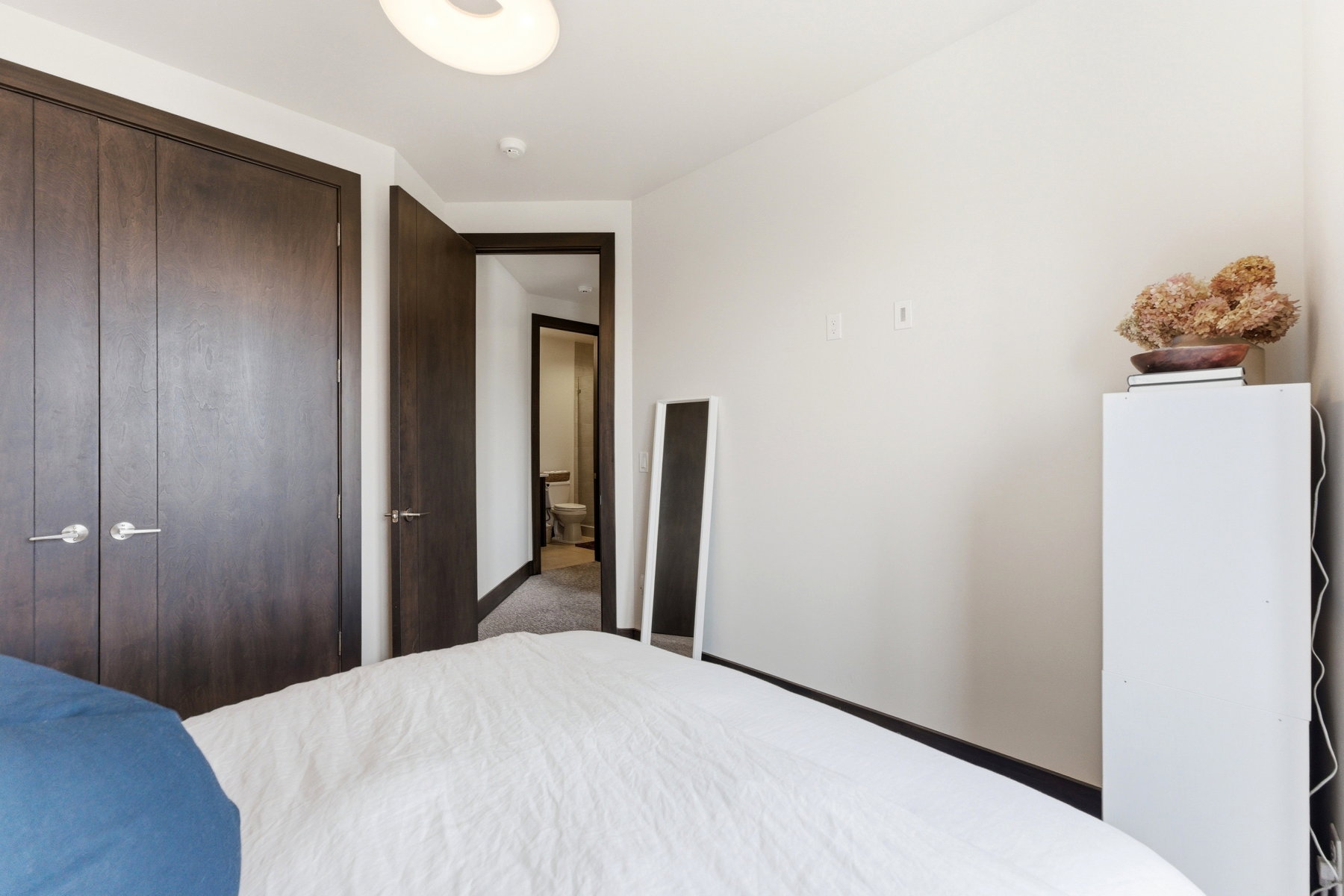 Wood-finish double closet doors with contemporary hardware