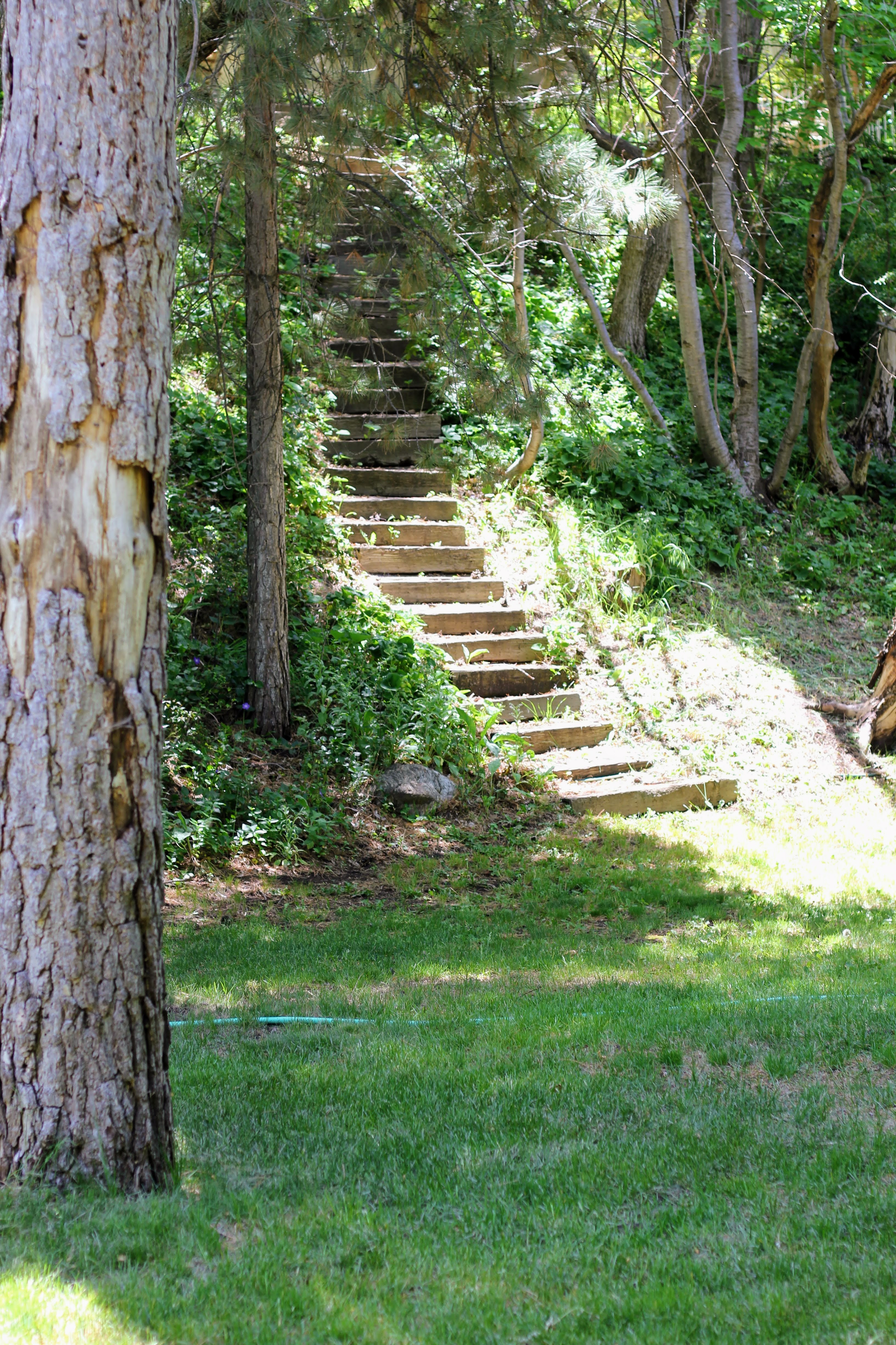 Terraced landscaping featuring a view from back yard of neighbor's staircase and mature trees