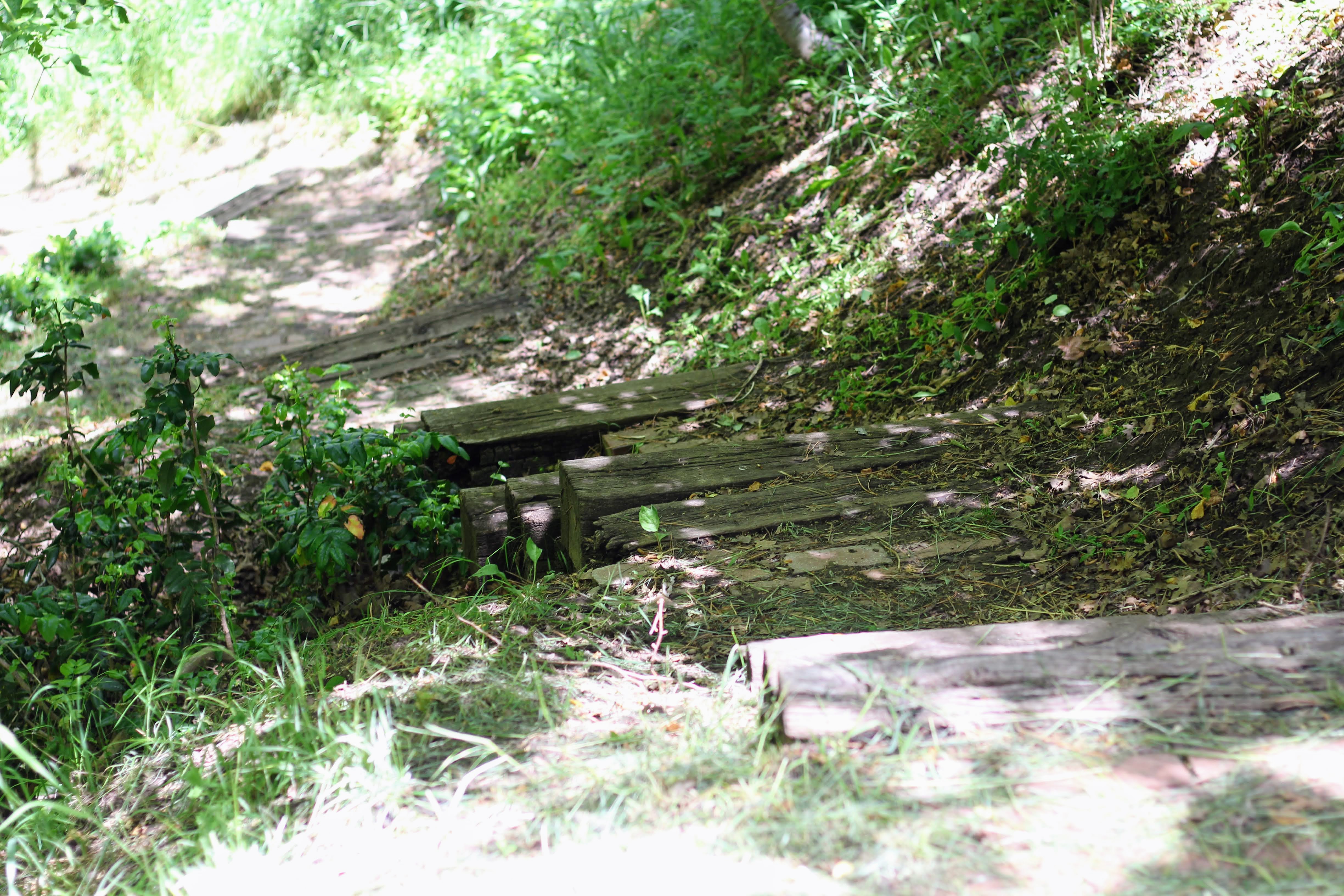 Terraced landscaping with natural wood steps and lush greenery