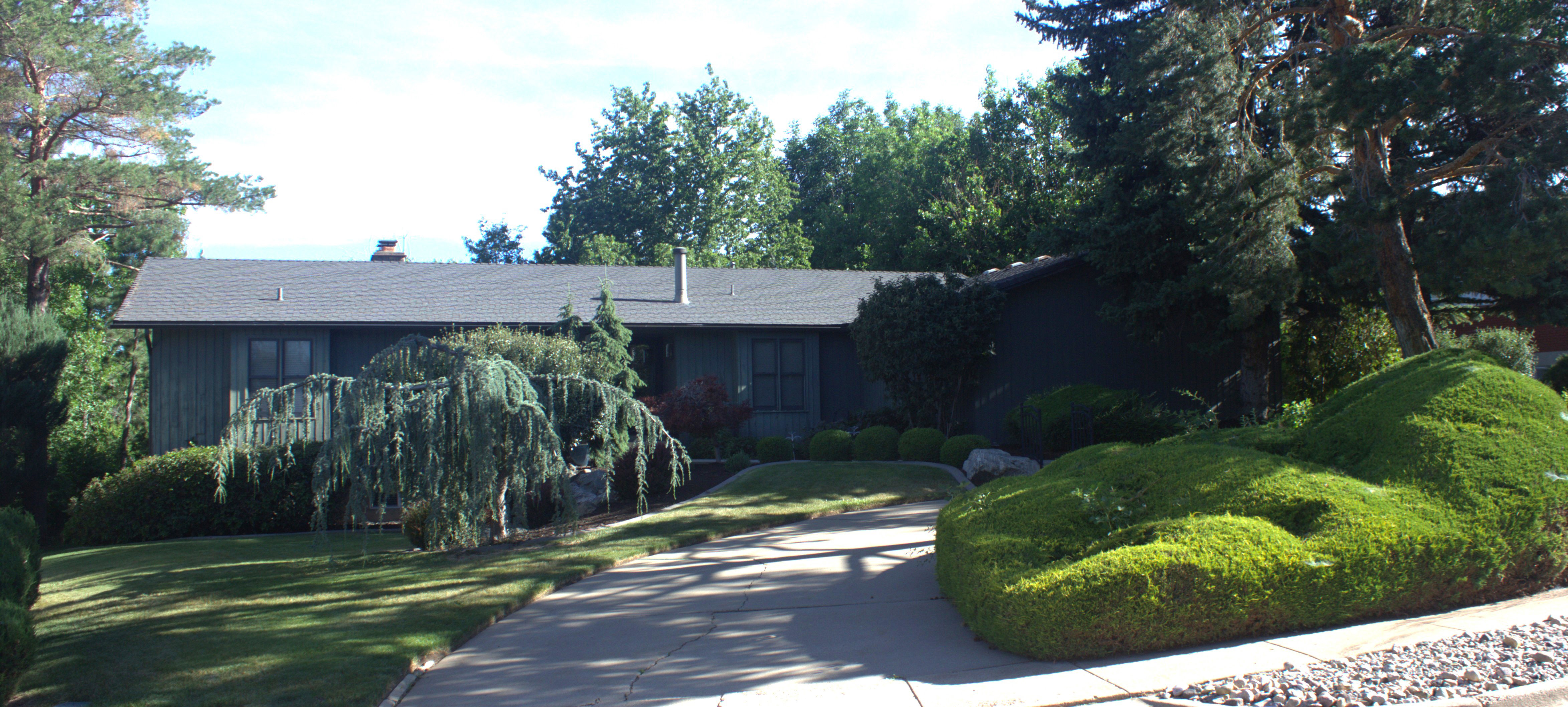 Exterior residence with a dark-toned facade, featuring a shingle roof and a concrete driveway