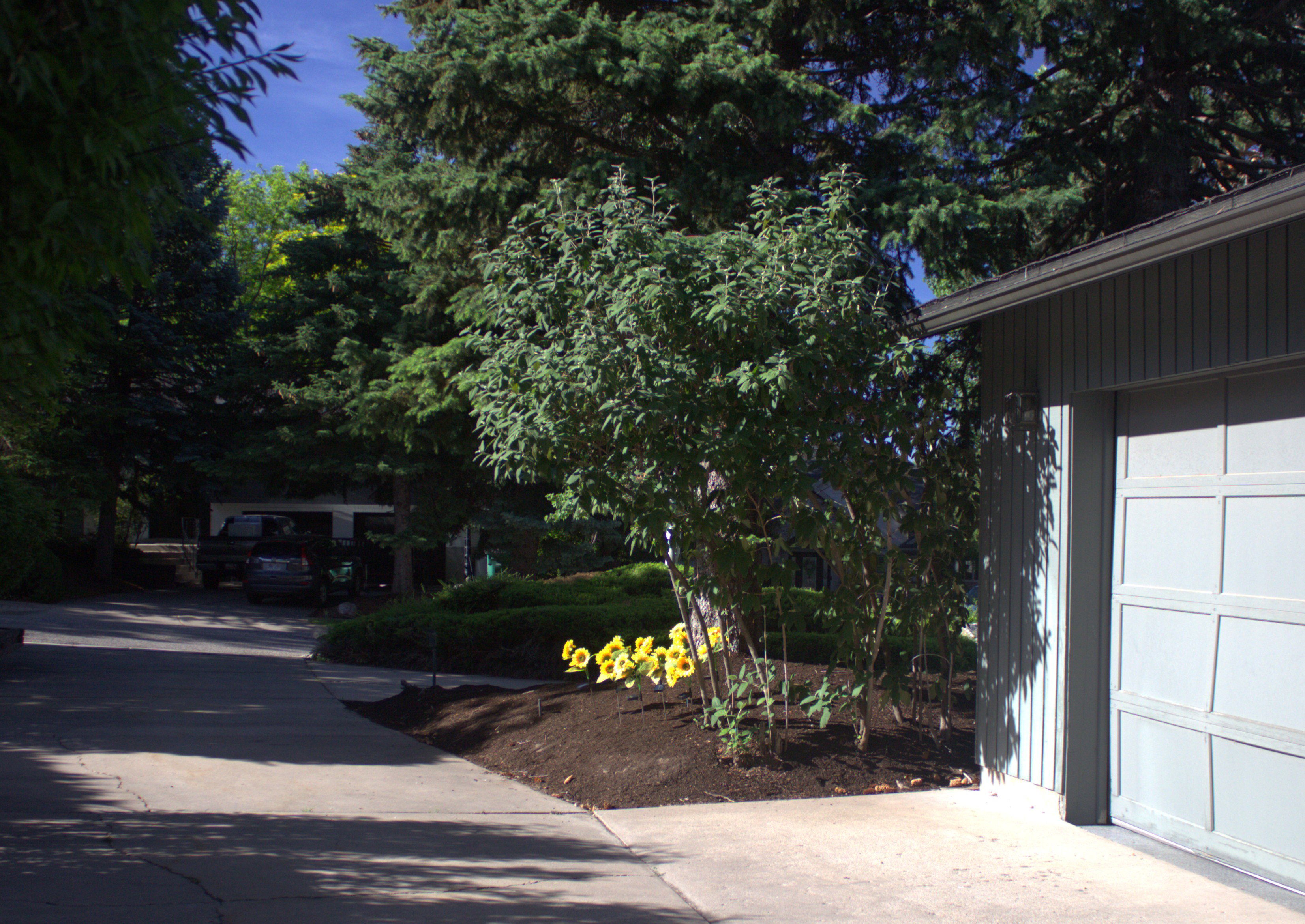 Concrete driveway alongside a paneled garage door and vertical siding
