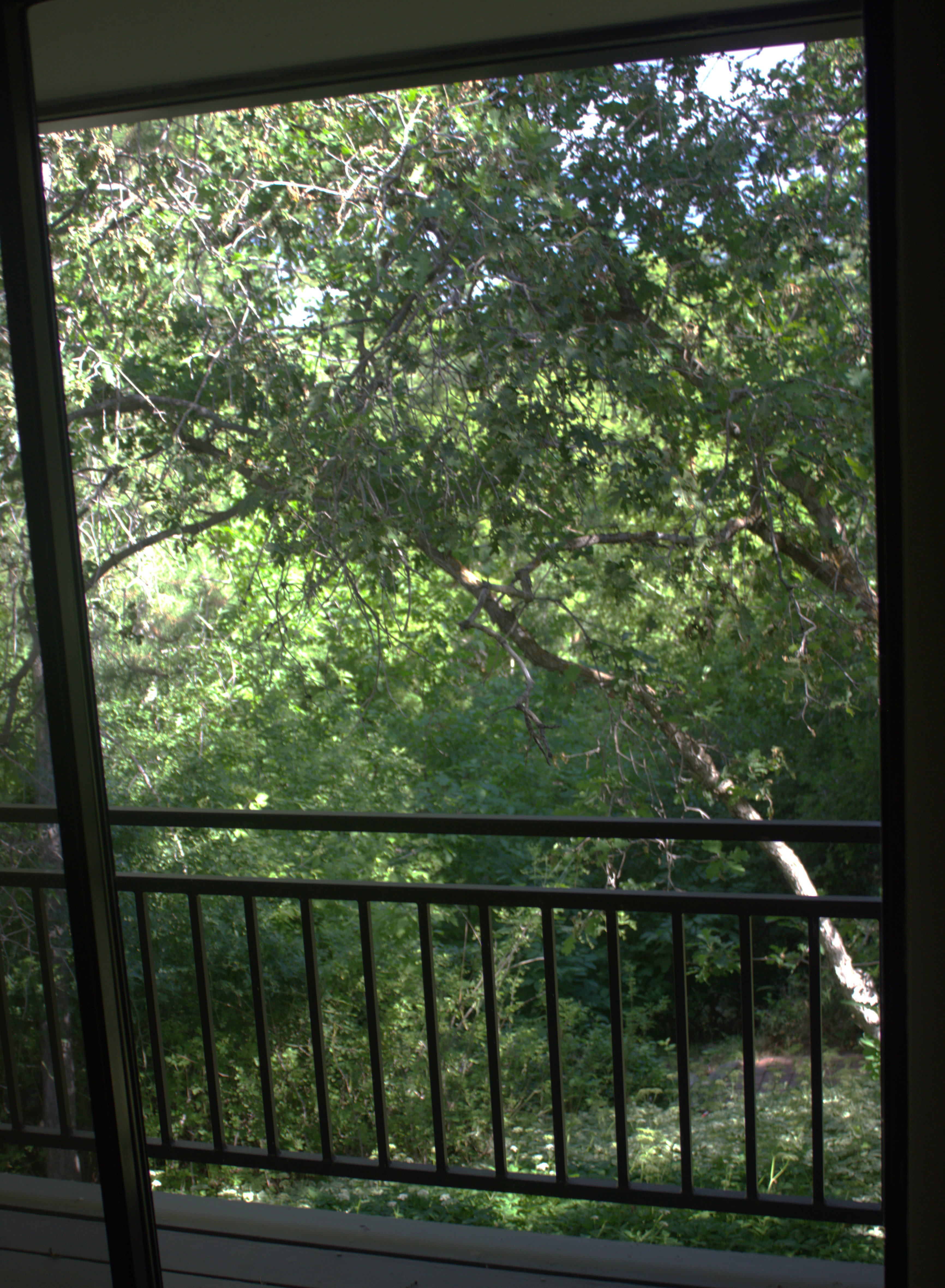 Sliding glass door leading to a balcony with black metal railings, overlooking abundant mature foliage