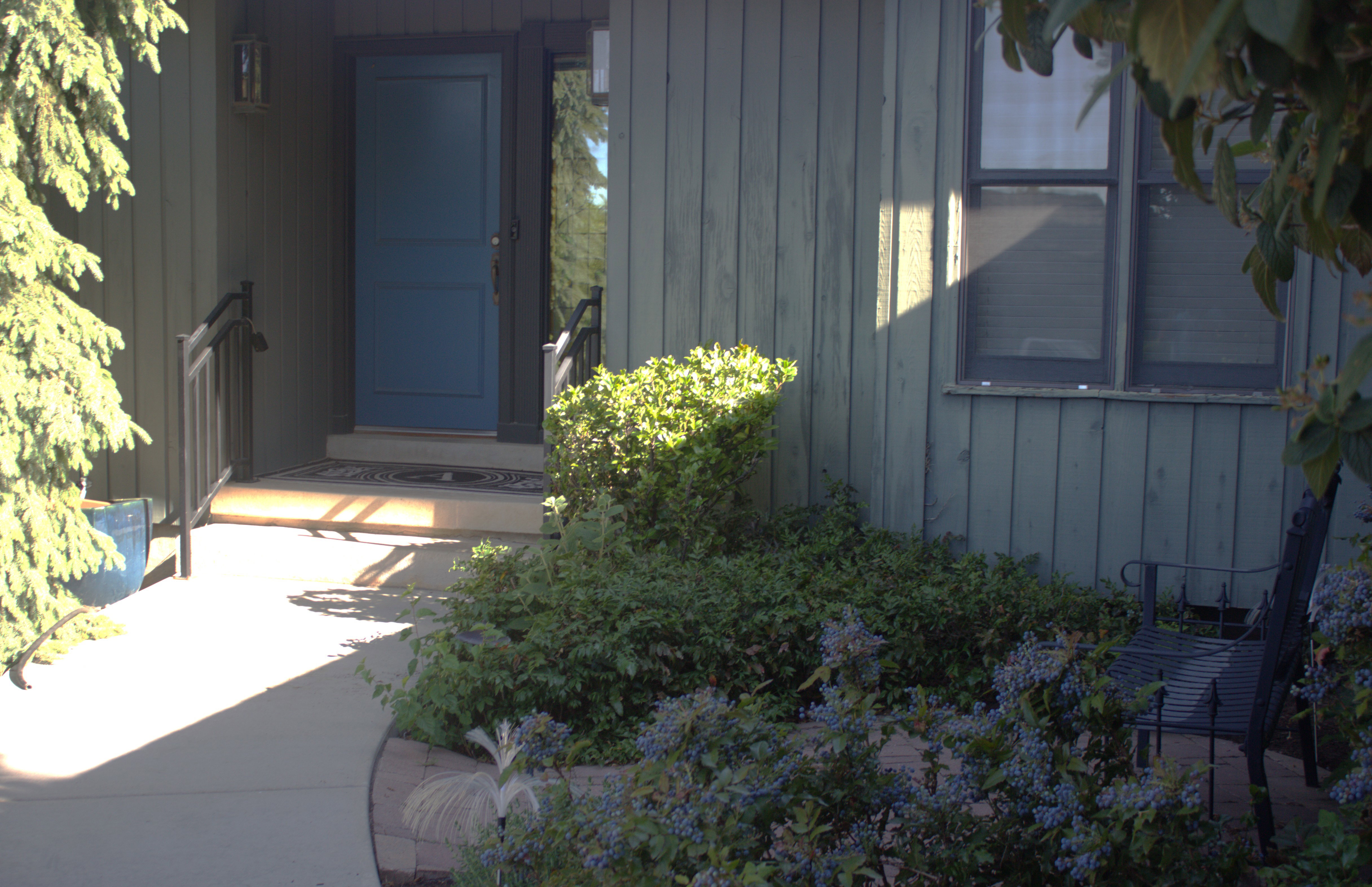 Entryway featuring a blue paneled door, dark accent trim, and a concrete pathway