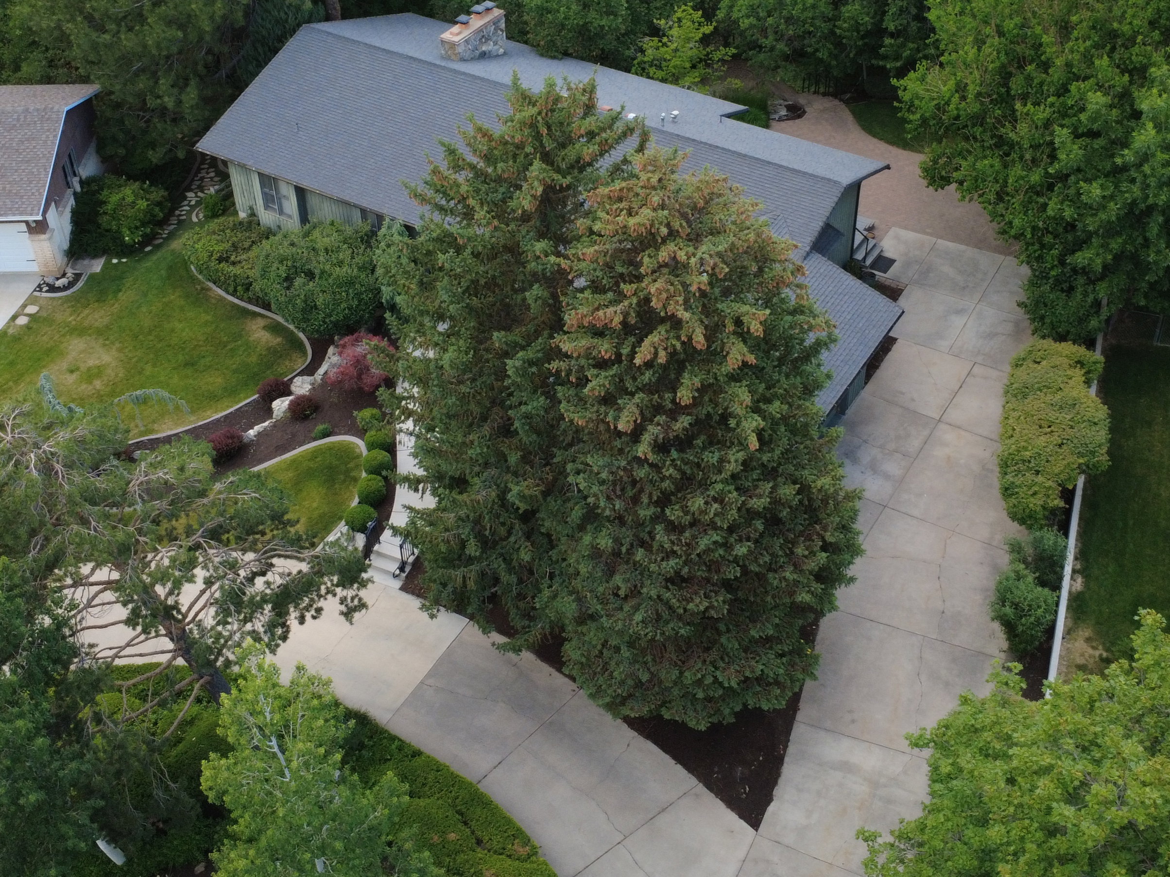 Aerial perspective showcasing a property surrounded by mature trees, featuring a dark gray asphalt shingle roof