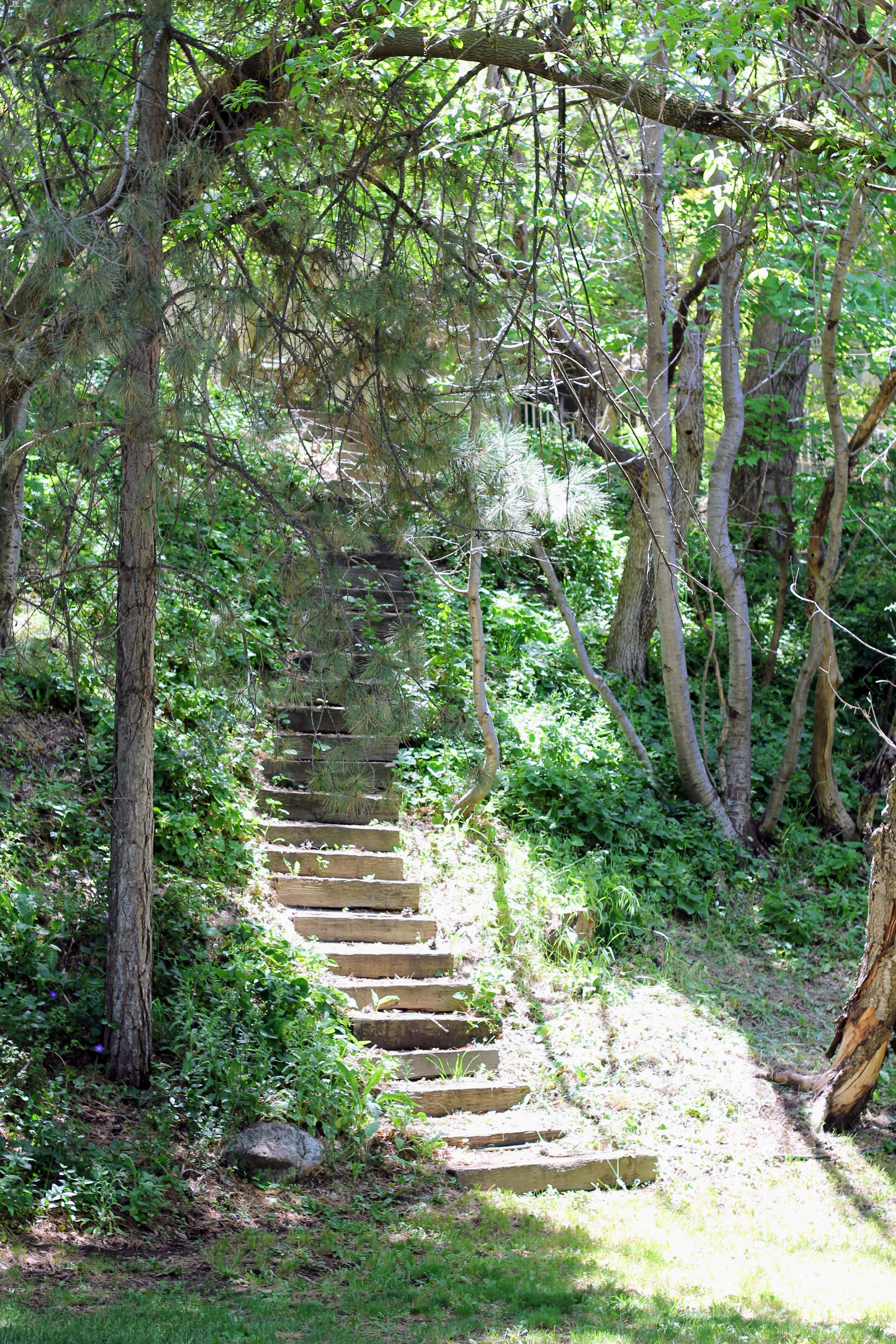 view from back yard of neighbor's staircase
