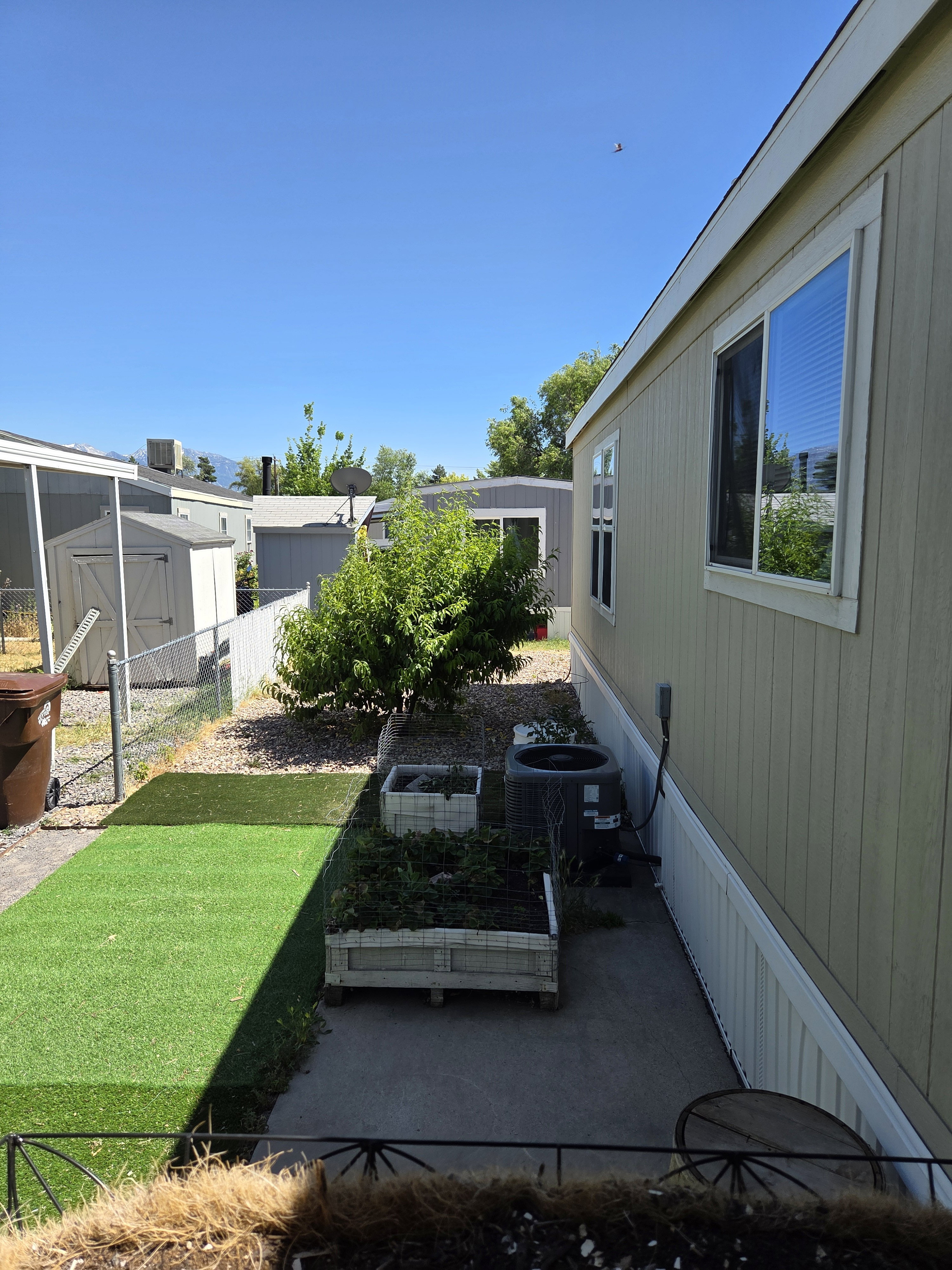 Side yard featuring artificial turf, raised garden beds, and a peach tree