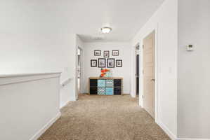 Carpeted hallway featuring white walls, a white railing with a metal handrail, a flush-mount ceiling light, and panel doors