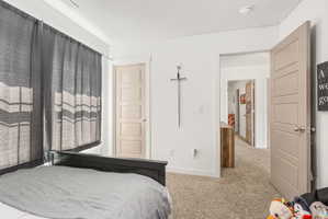 Neutral-toned bedroom featuring a dark-paneled bed frame and wall-to-wall carpeting