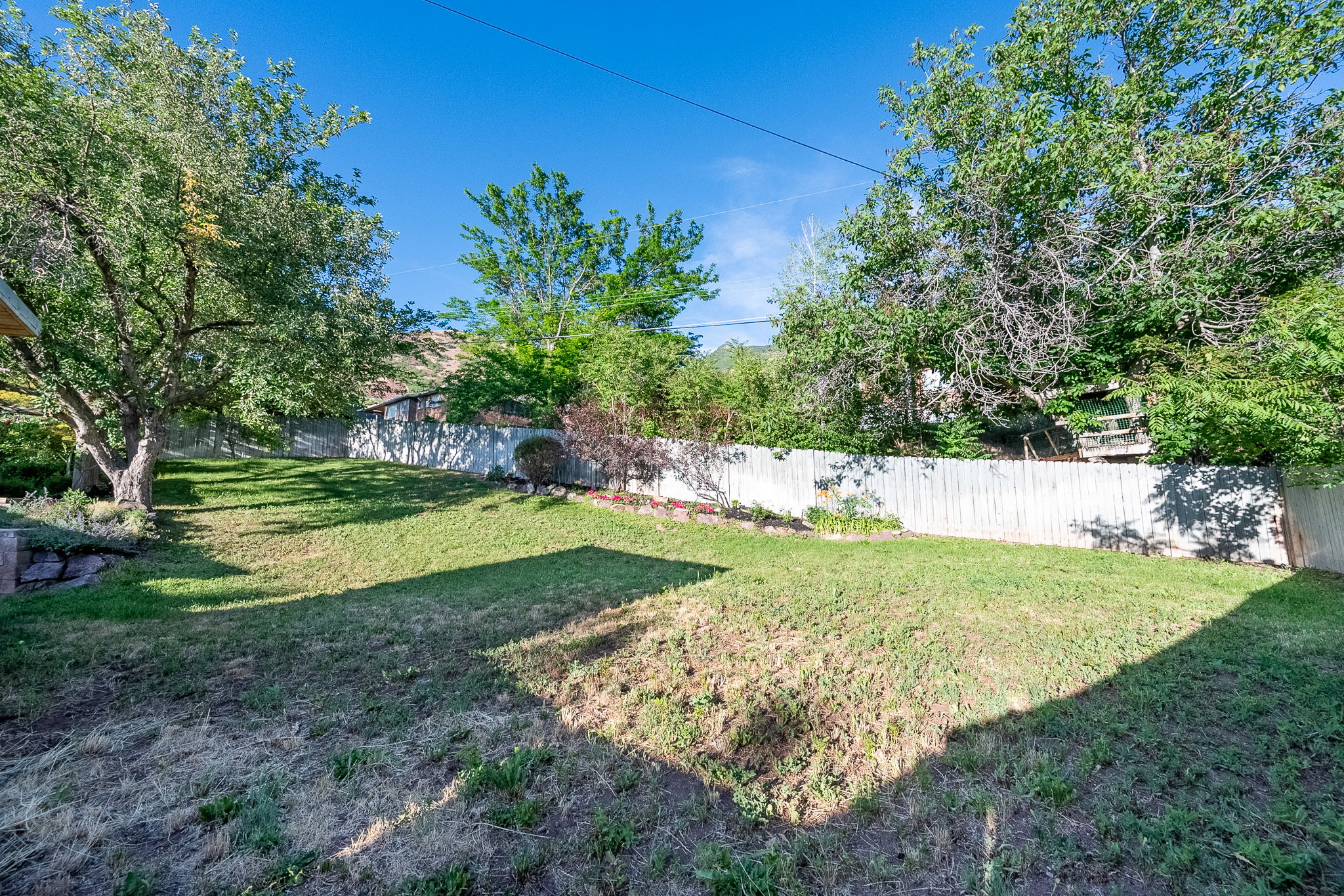 Spacious backyard featuring a sloped lawn, mature trees, and privacy fencing