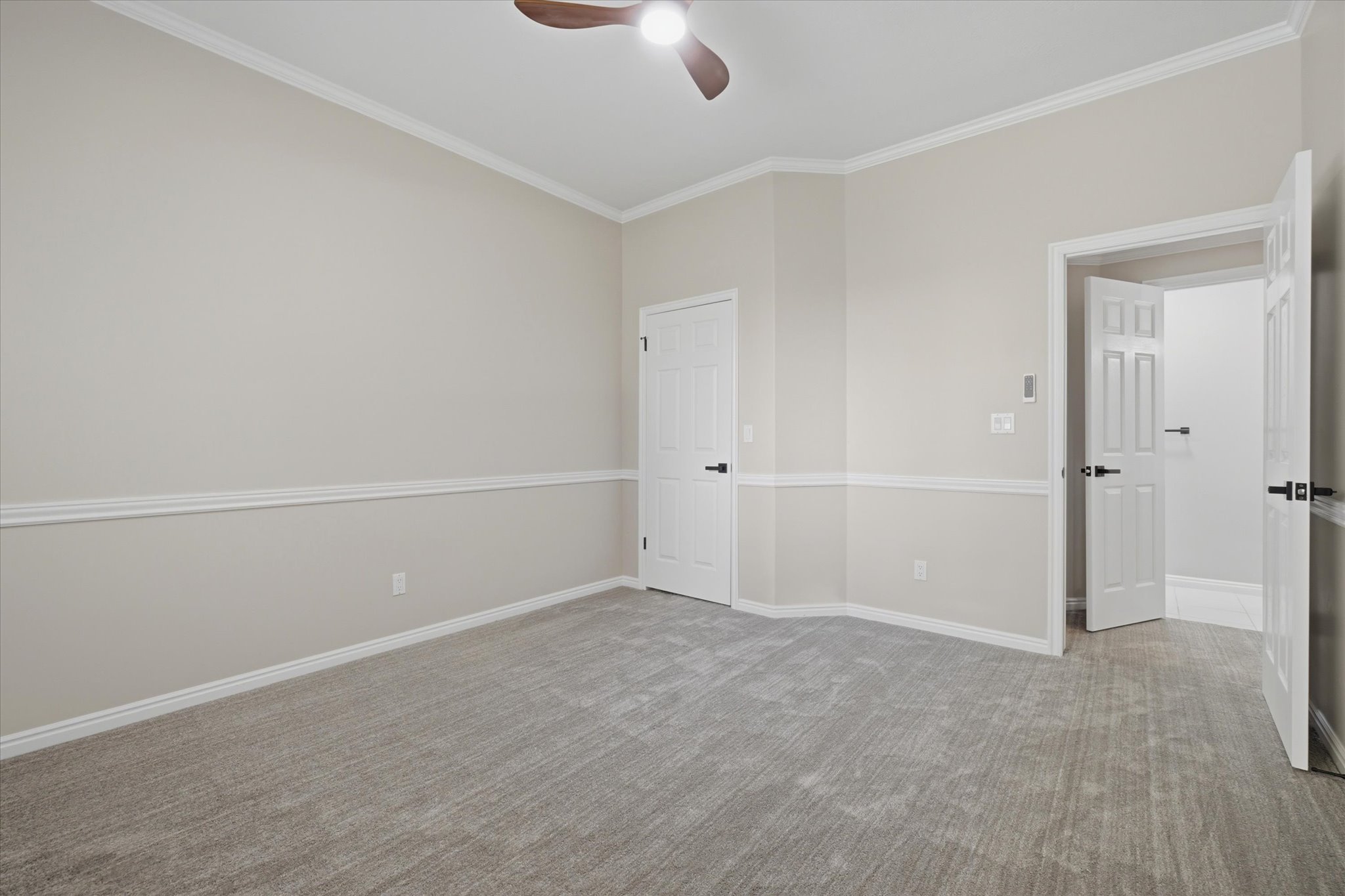 Spacious room featuring neutral carpeting, crown molding, chair rail detailing, white trim, and a ceiling fan