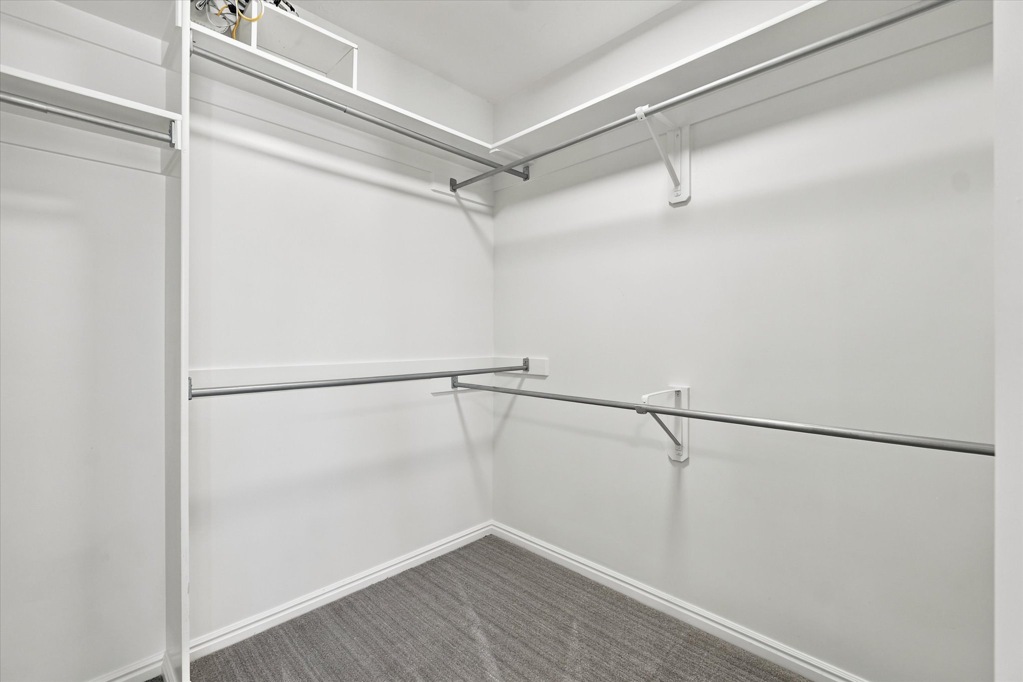 Walk-in closet featuring white painted walls, white shelving, chrome hanging rods, and grey carpet flooring