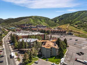 Aerial perspective showcasing a multi-story building with a distinctive roofline and surrounding mature evergreen trees