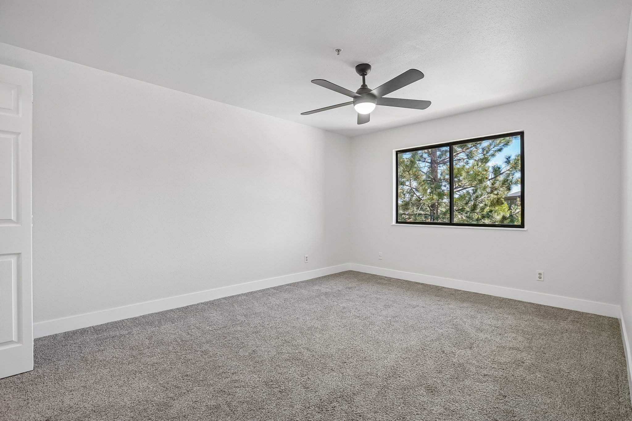 Bright room featuring a large window, textured gray carpeting, a contemporary ceiling fan, white baseboards, and a white paneled door