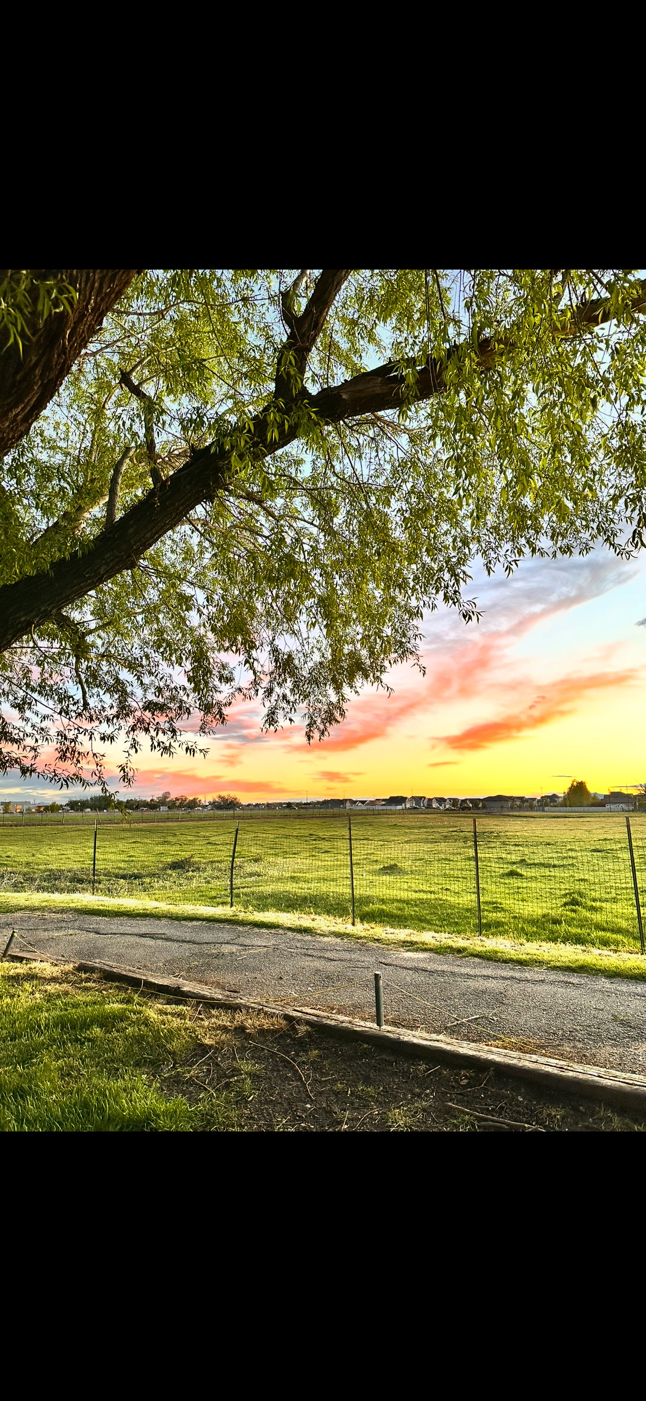 Expansive green field with a partial fence, bordered by a paved path and mature tree canopy