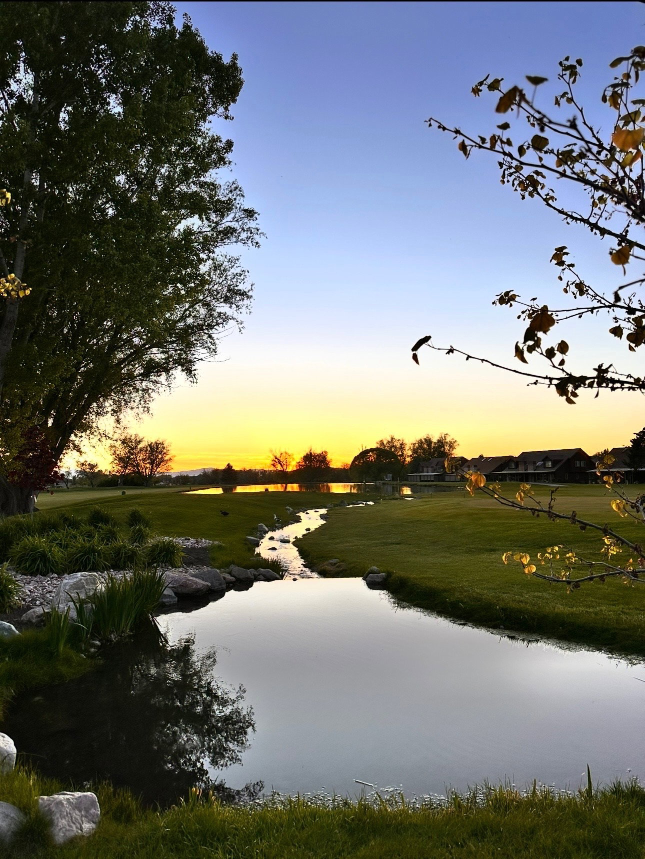 Serene water feature meandering through a verdant landscape