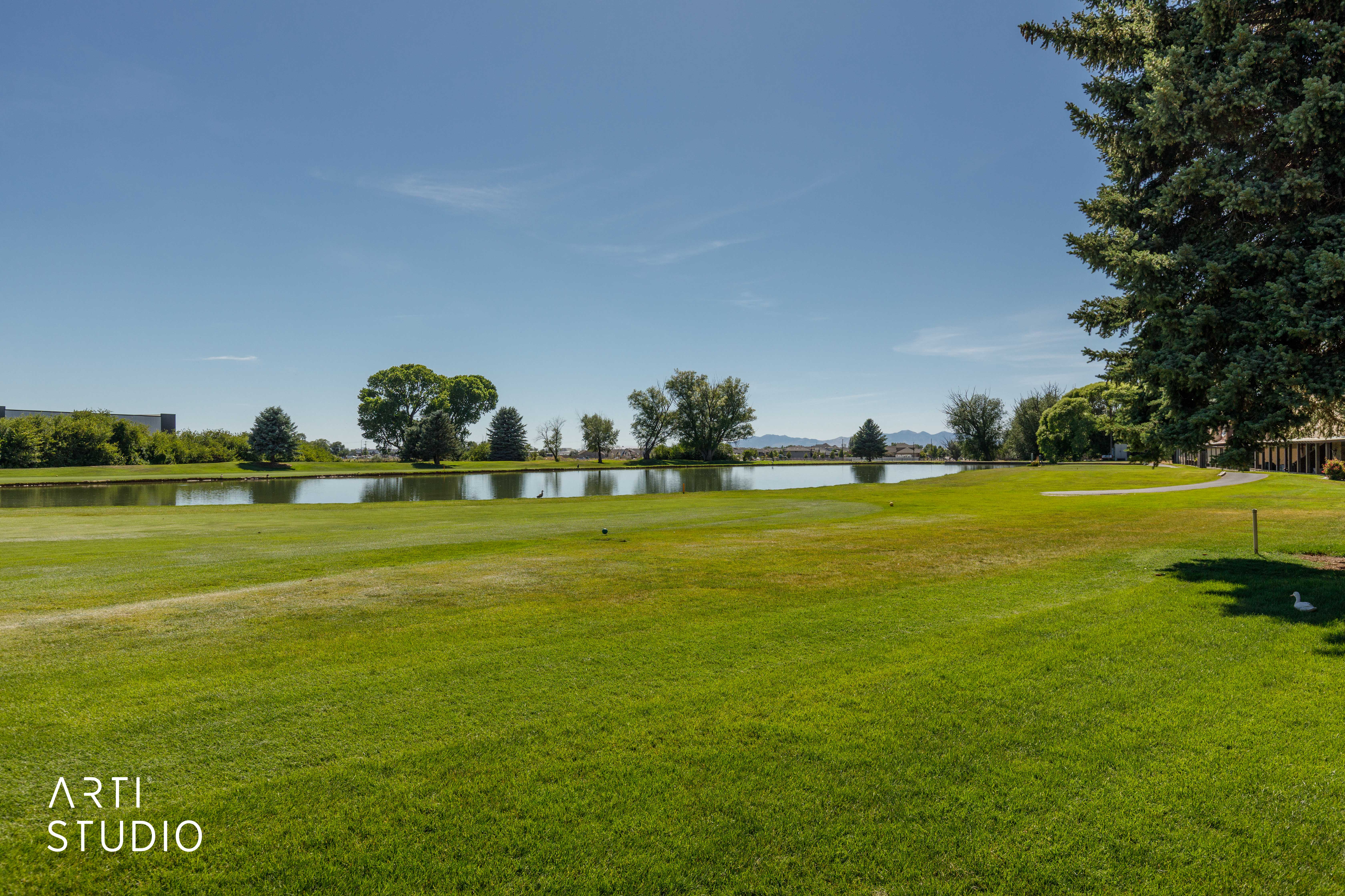 Expansive green space featuring a large pond, mature evergreen trees, and distant tree lines