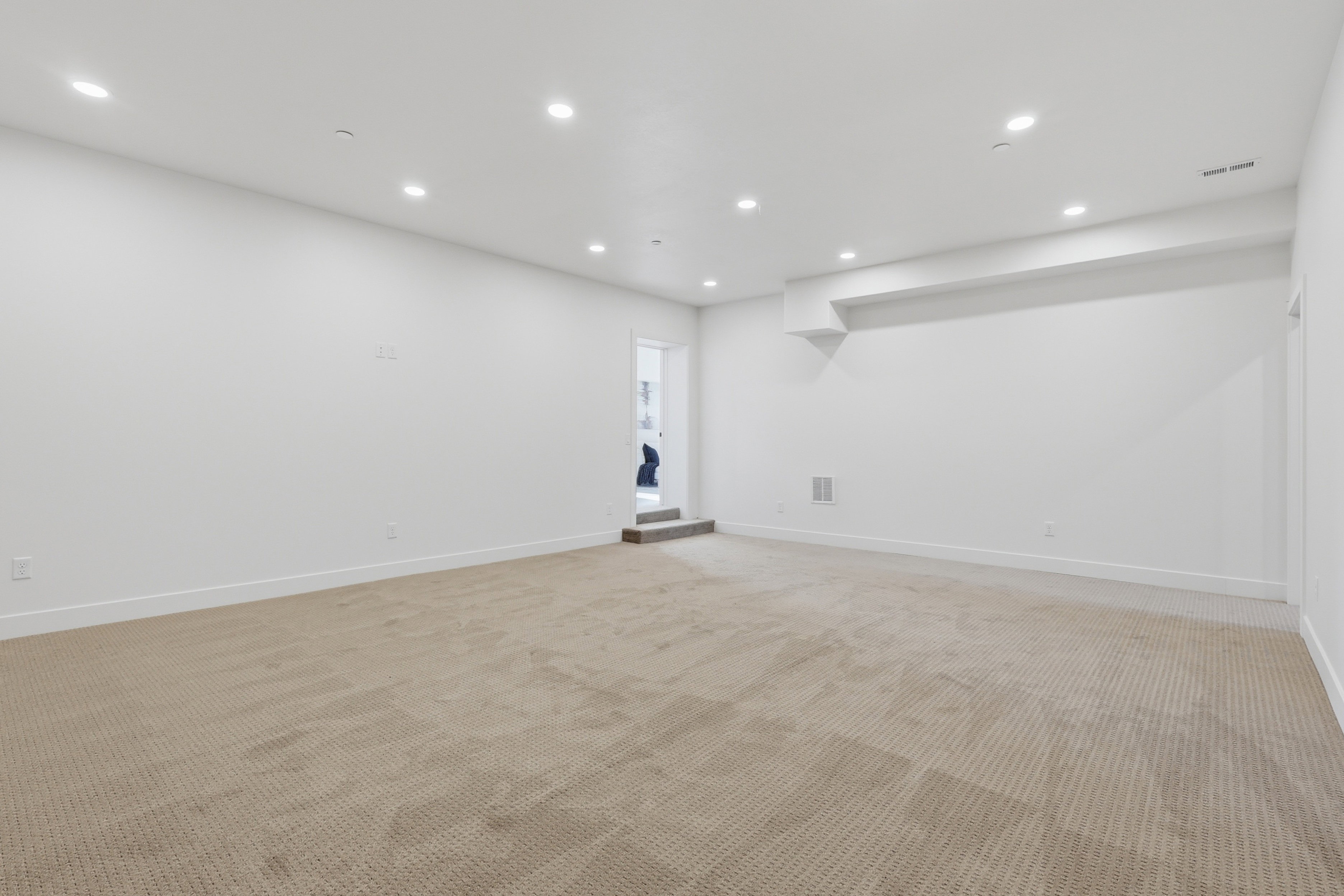 Theatre Room