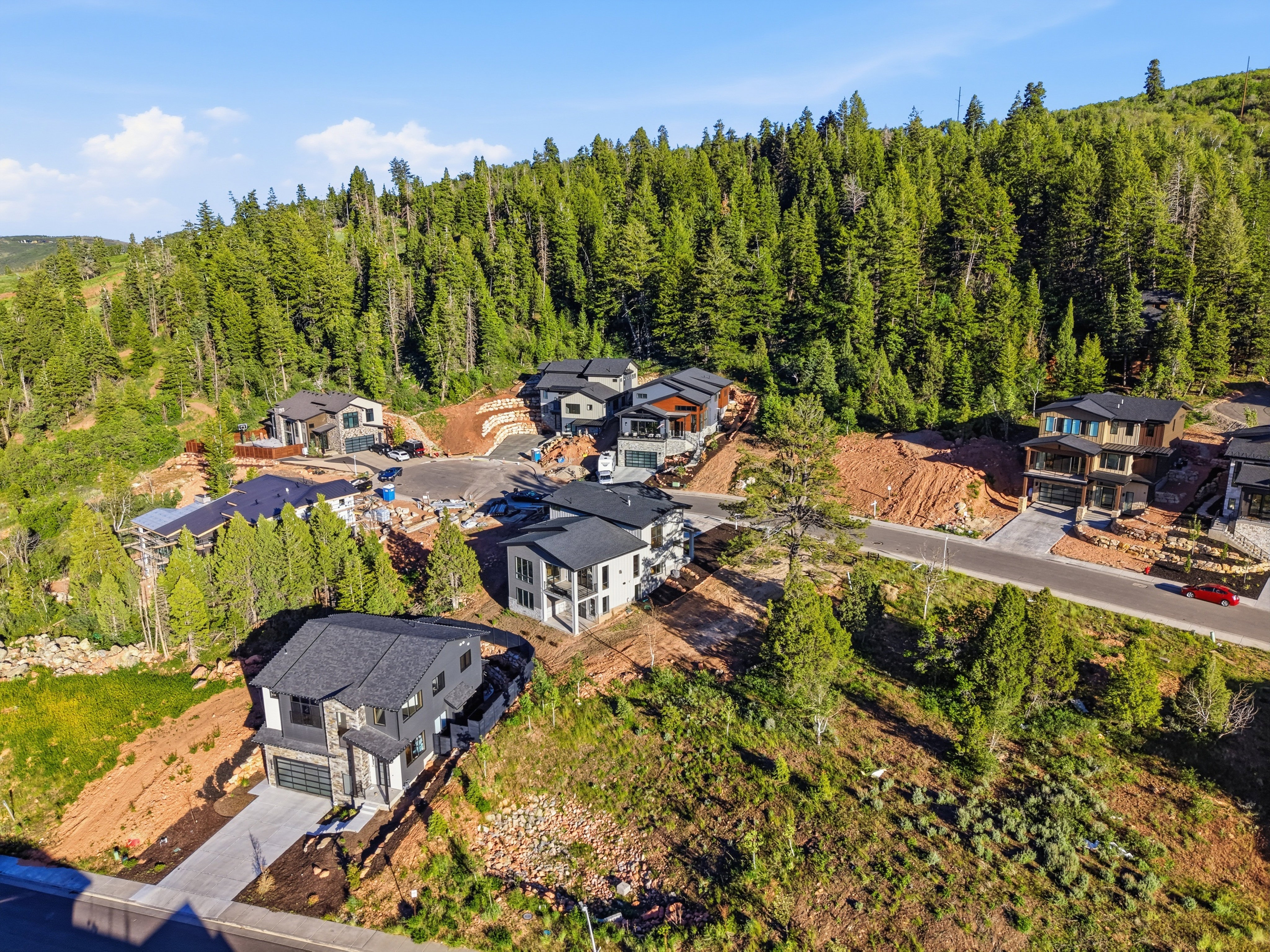 Contemporary residences nestled into a forested hillside