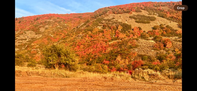 Mountainous terrain featuring vibrant autumn foliage