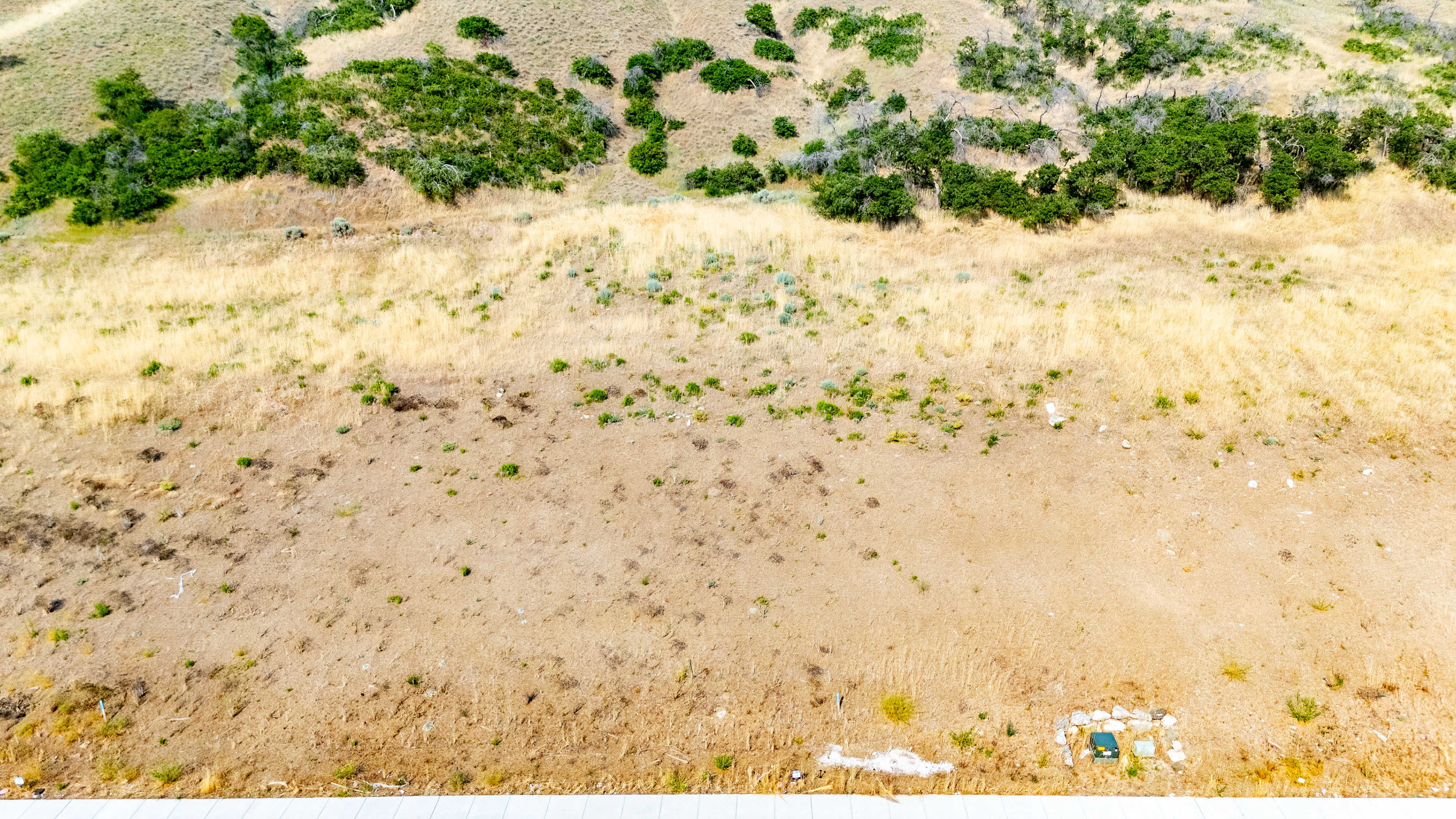 Expansive undeveloped land featuring natural terrain and varied vegetation