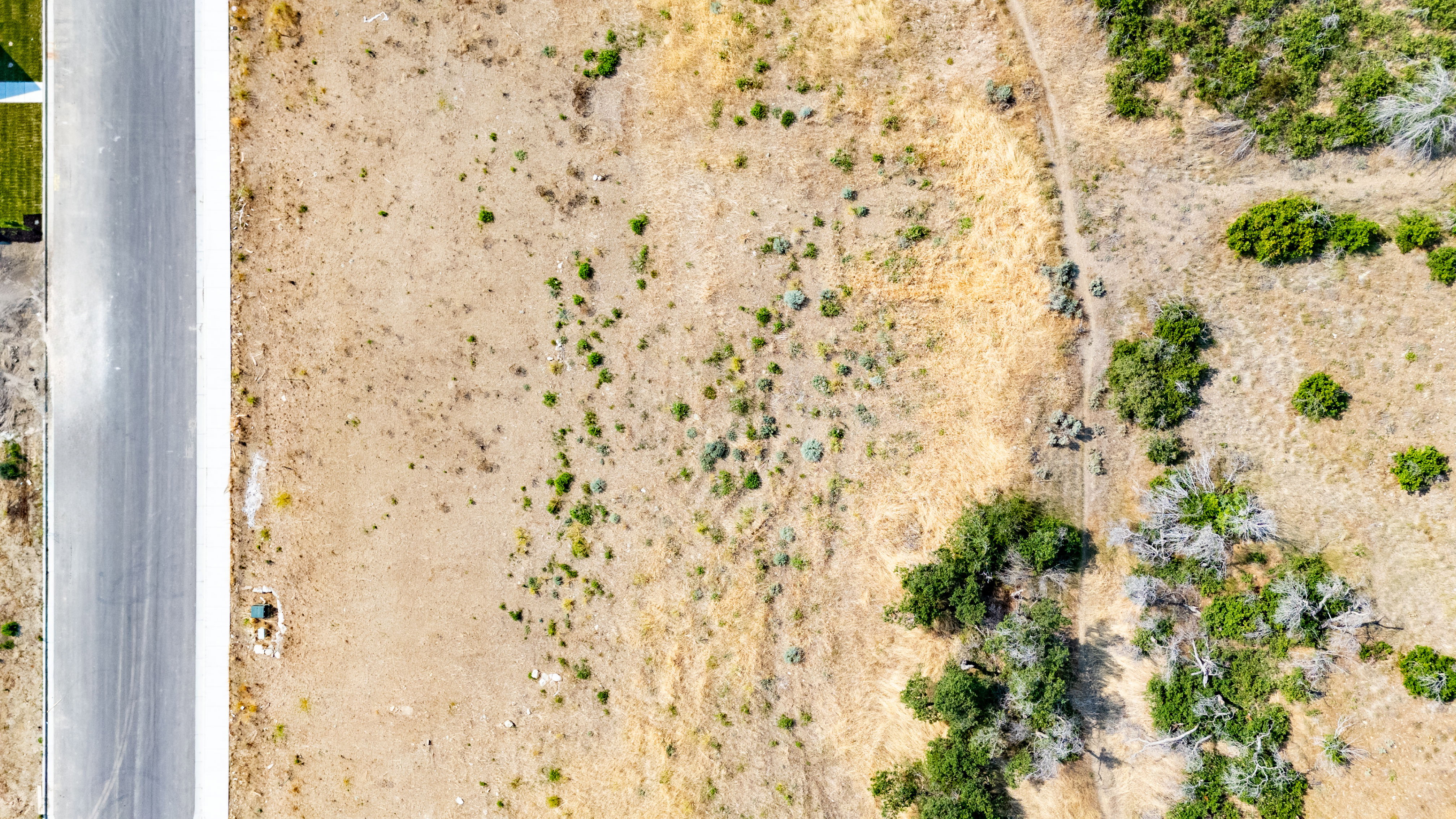 Expansive undeveloped land bordering a paved road, featuring natural vegetation and potential for development