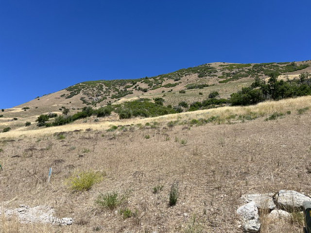 Expansive hillside property featuring natural landscaping, varying terrain, and scattered brush