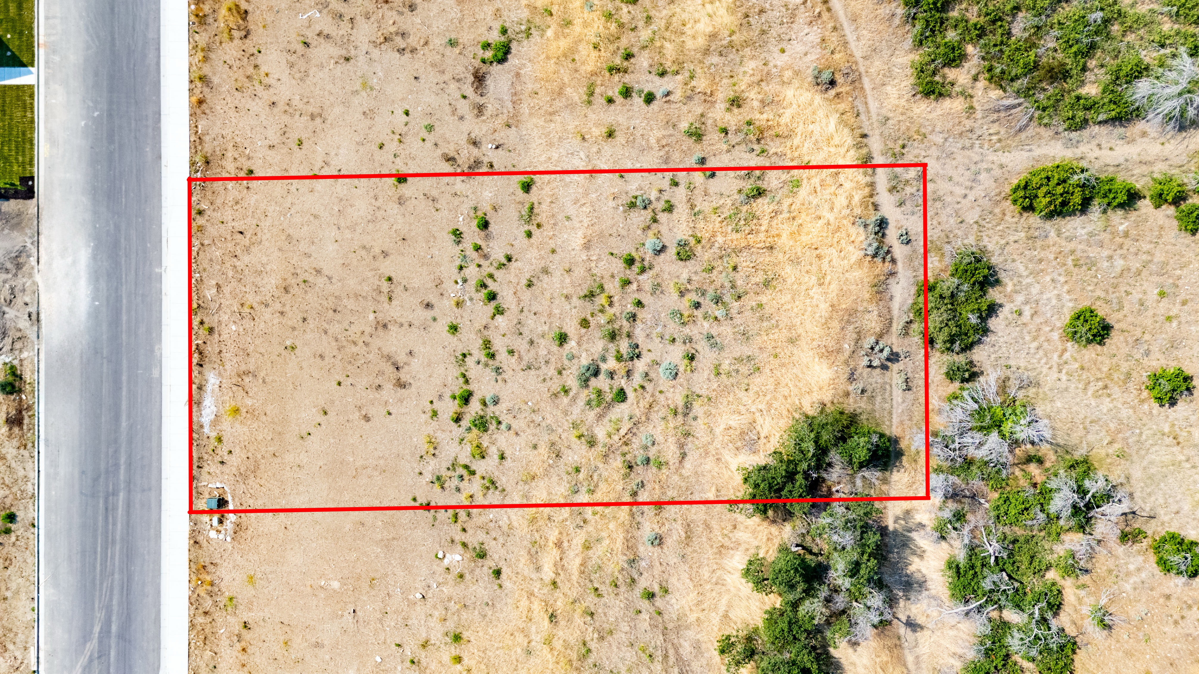 Expansive undeveloped lot featuring natural landscaping and direct road frontage