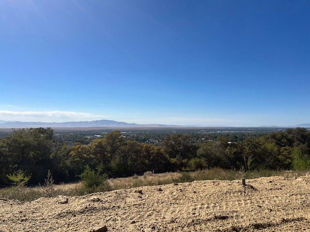 Expansive panoramic landscape with distant mountains, a city skyline, and mature trees framing the horizon