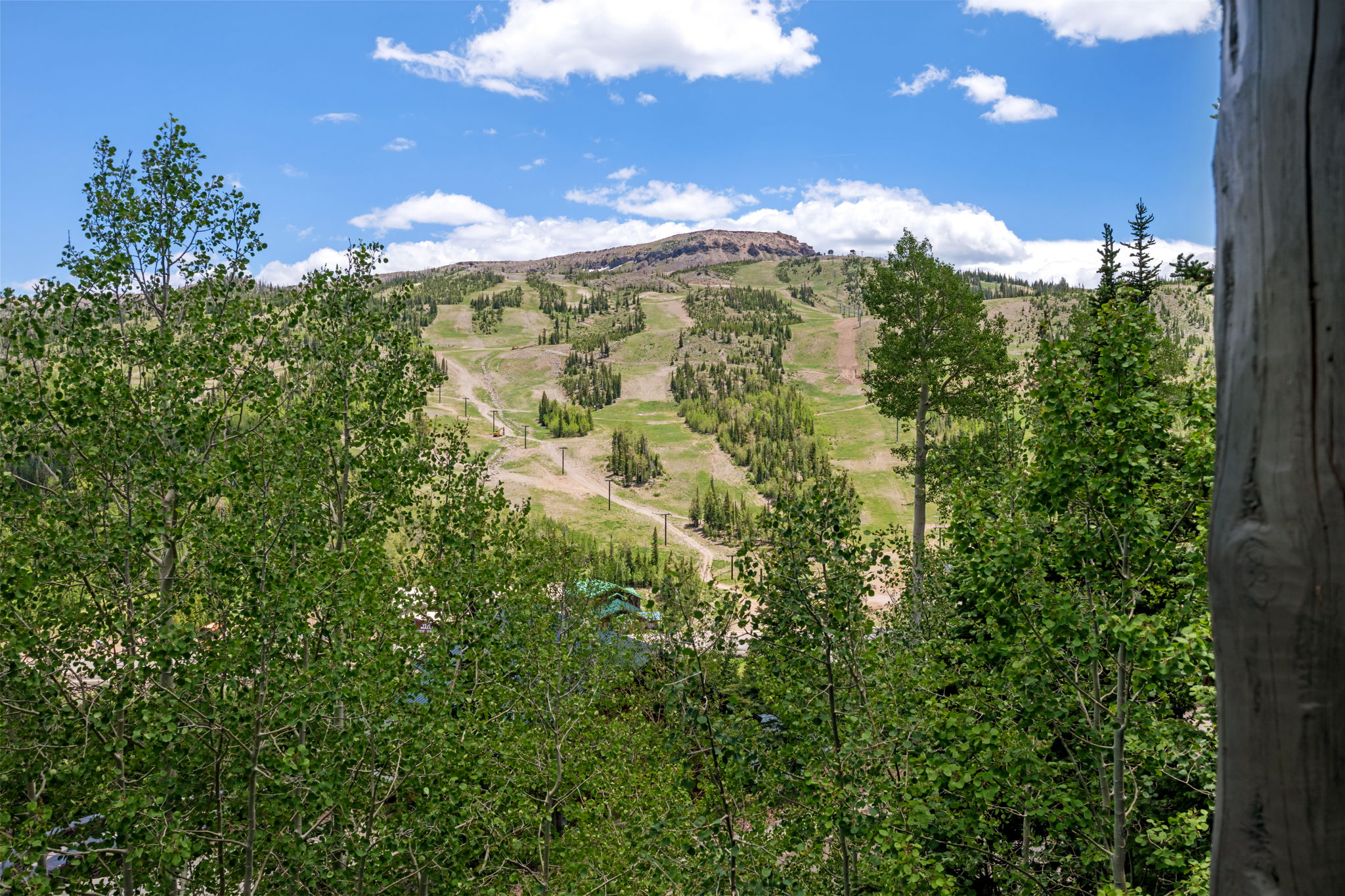 Mountain landscape featuring ski slopes, forested areas, and a partially visible structure among the trees